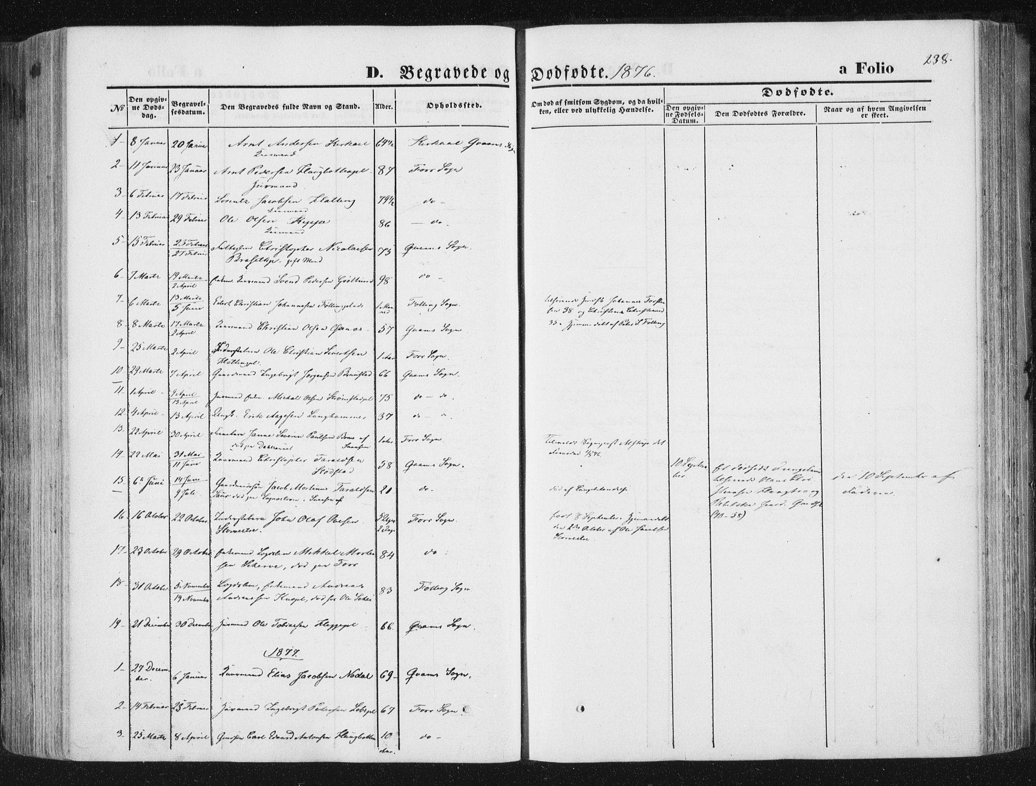 Ministerialprotokoller, klokkerbøker og fødselsregistre - Nord-Trøndelag, SAT/A-1458/746/L0447: Parish register (official) no. 746A06, 1860-1877, p. 238
