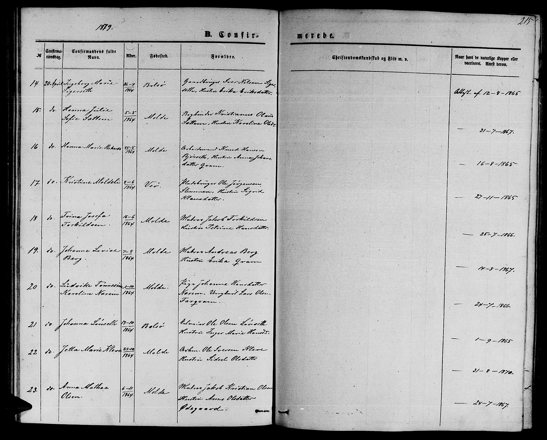 Ministerialprotokoller, klokkerbøker og fødselsregistre - Møre og Romsdal, AV/SAT-A-1454/558/L0701: Parish register (copy) no. 558C02, 1862-1879, p. 215