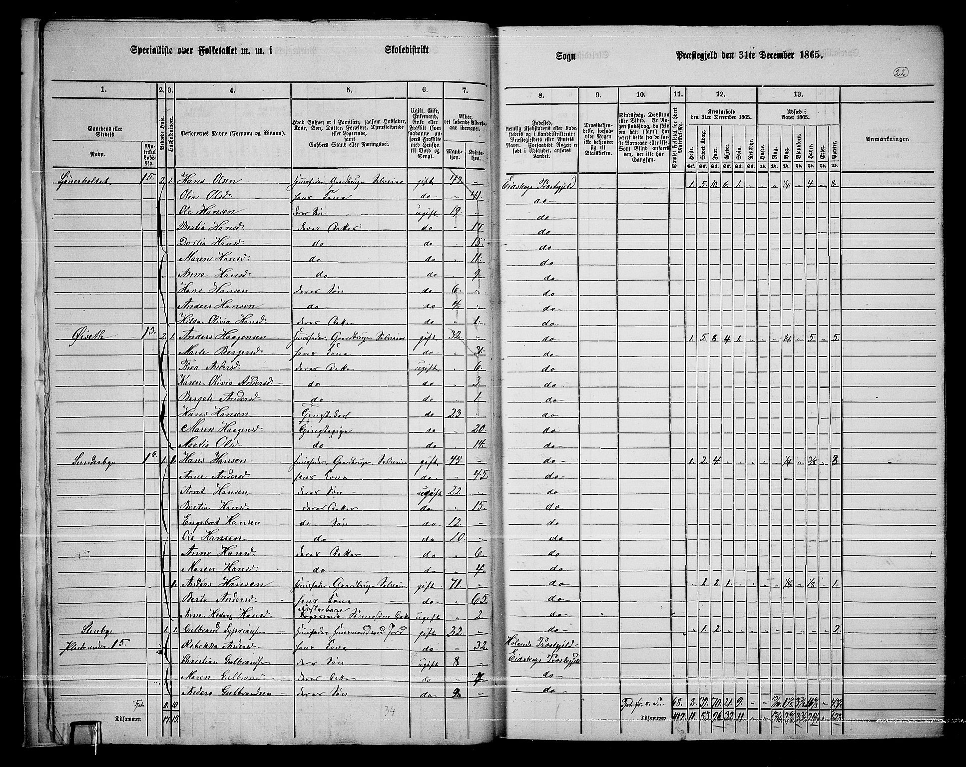 RA, 1865 census for Eidskog, 1865, p. 20