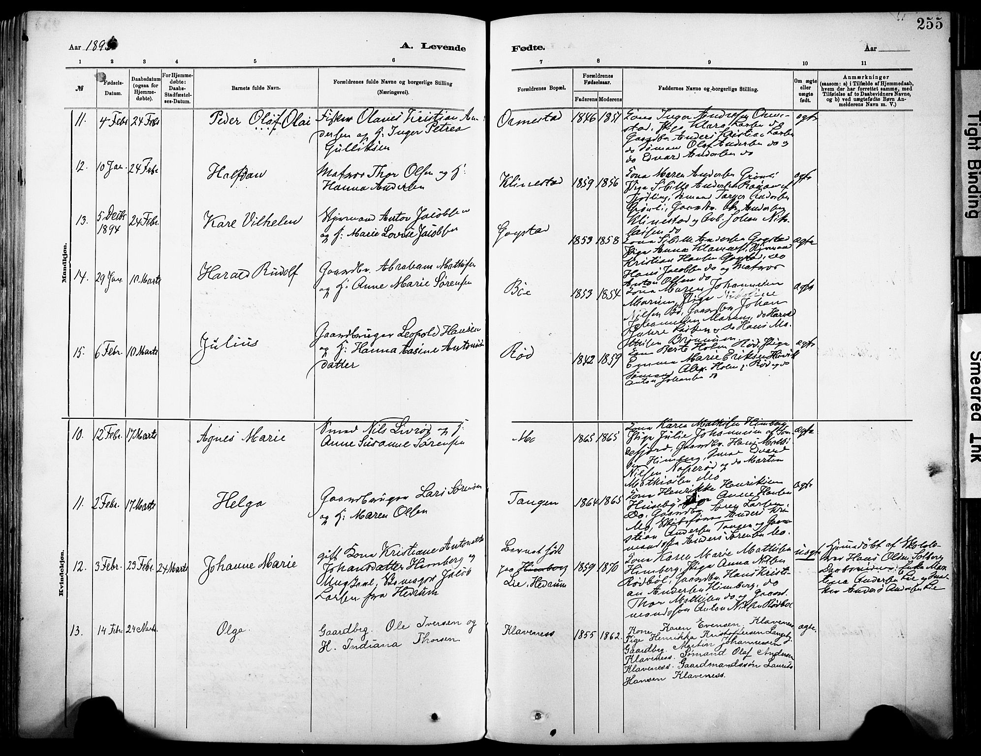 Sandar kirkebøker, AV/SAKO-A-243/F/Fa/L0012: Parish register (official) no. 12, 1883-1895, p. 255