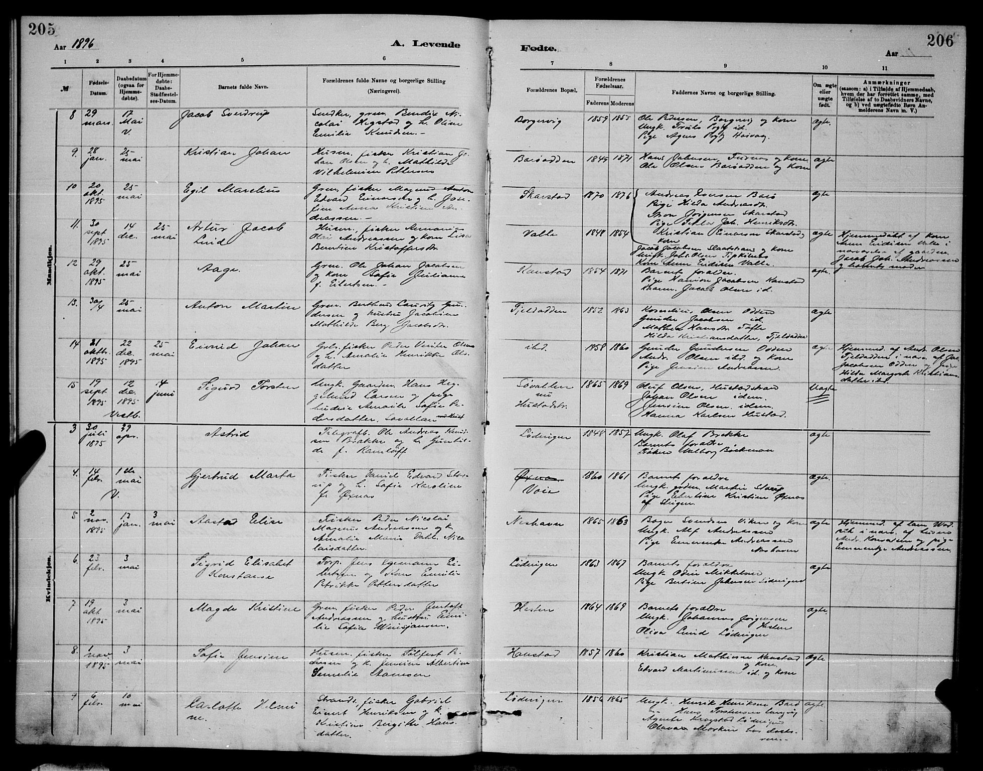 Ministerialprotokoller, klokkerbøker og fødselsregistre - Nordland, AV/SAT-A-1459/872/L1047: Parish register (copy) no. 872C03, 1880-1897, p. 205-206