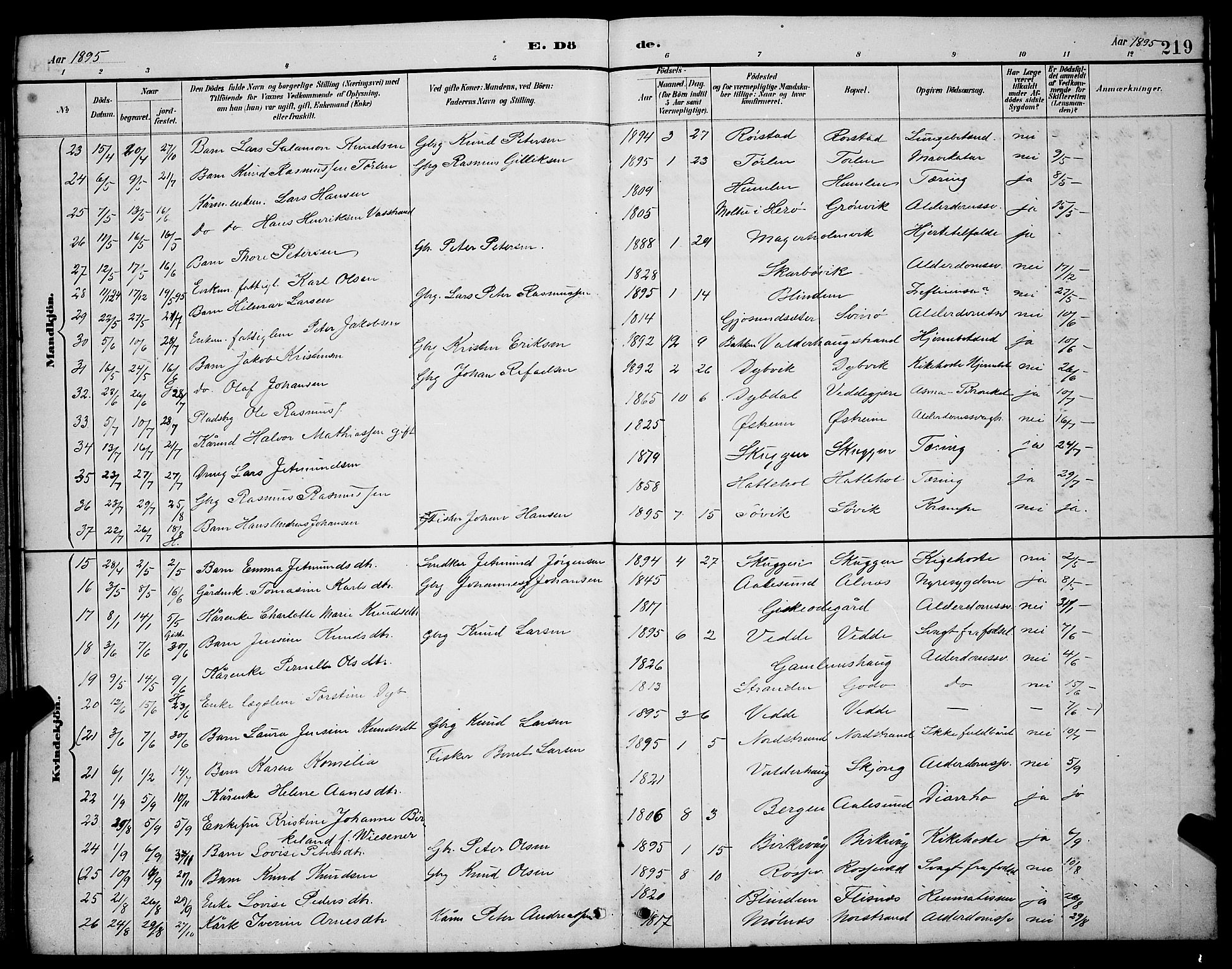 Ministerialprotokoller, klokkerbøker og fødselsregistre - Møre og Romsdal, SAT/A-1454/528/L0430: Parish register (copy) no. 528C11, 1884-1899, p. 219