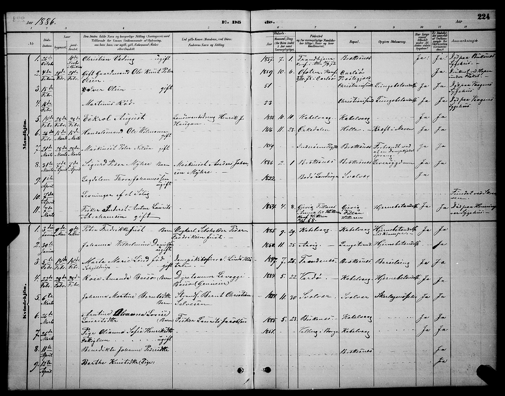 Ministerialprotokoller, klokkerbøker og fødselsregistre - Nordland, AV/SAT-A-1459/874/L1076: Parish register (copy) no. 874C05, 1884-1890, p. 224