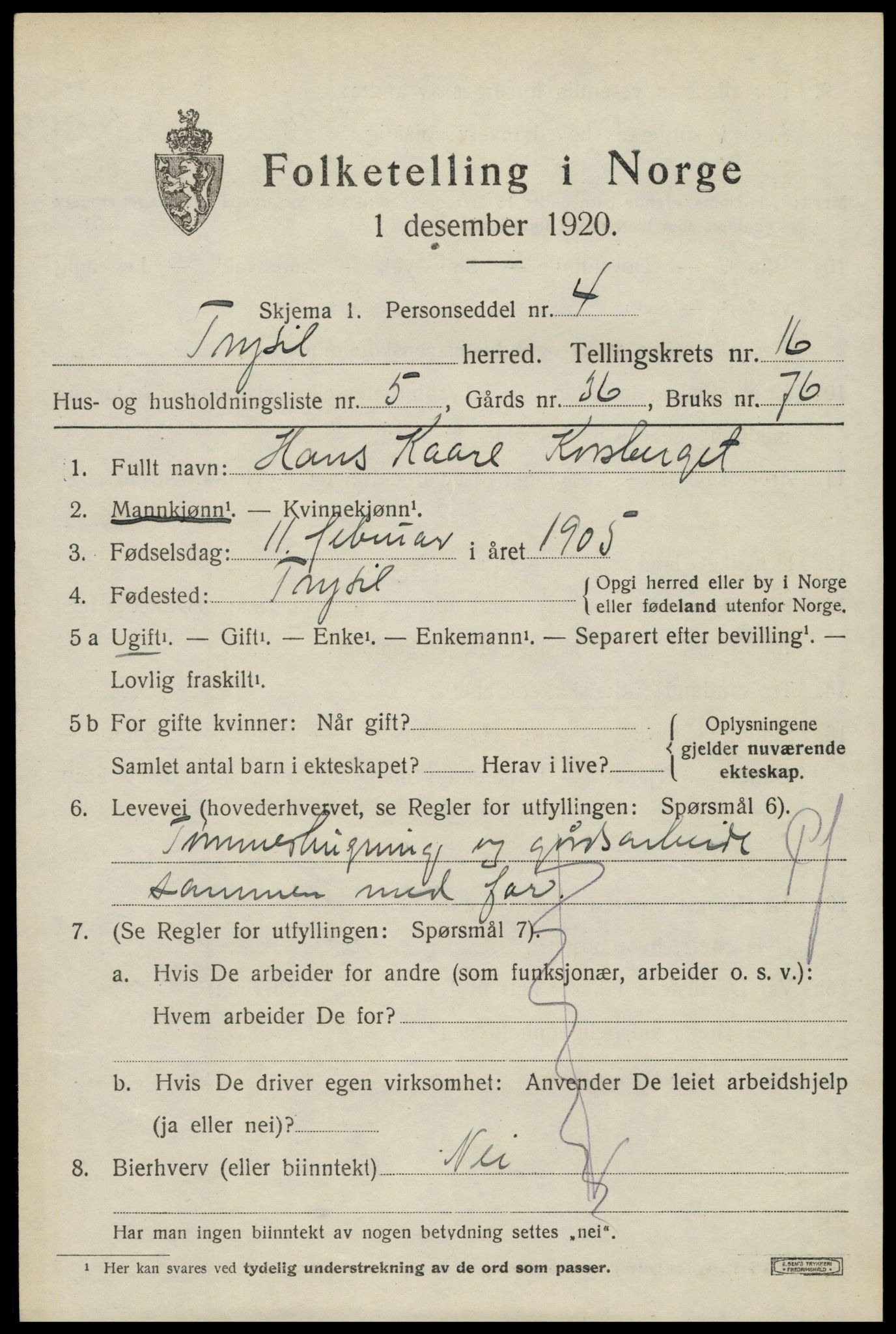 SAH, 1920 census for Trysil, 1920, p. 9495