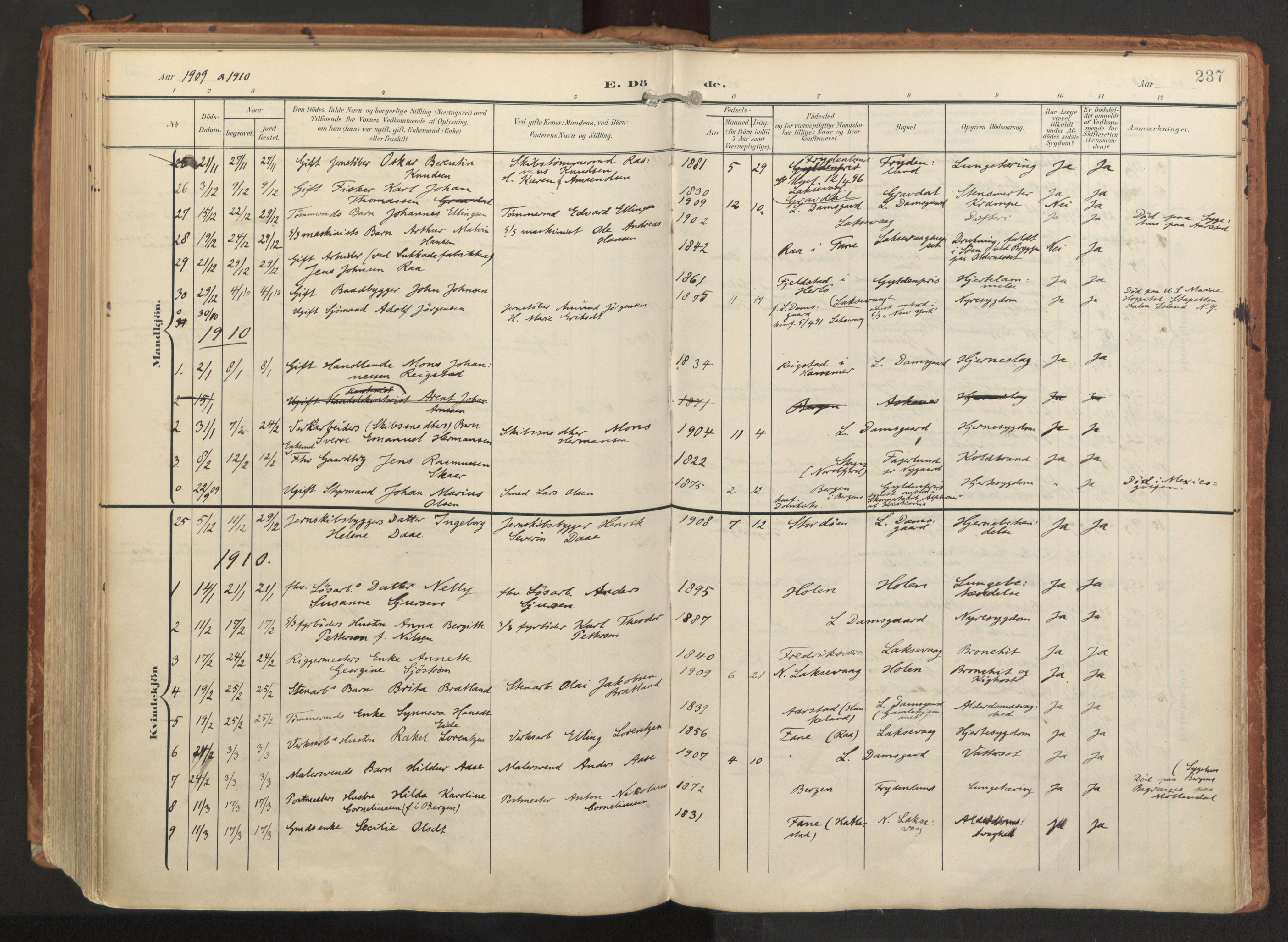 Laksevåg Sokneprestembete, AV/SAB-A-76501/H/Ha/Haa/Haaa/L0001: Parish register (official) no. A 1, 1903-1917, p. 237