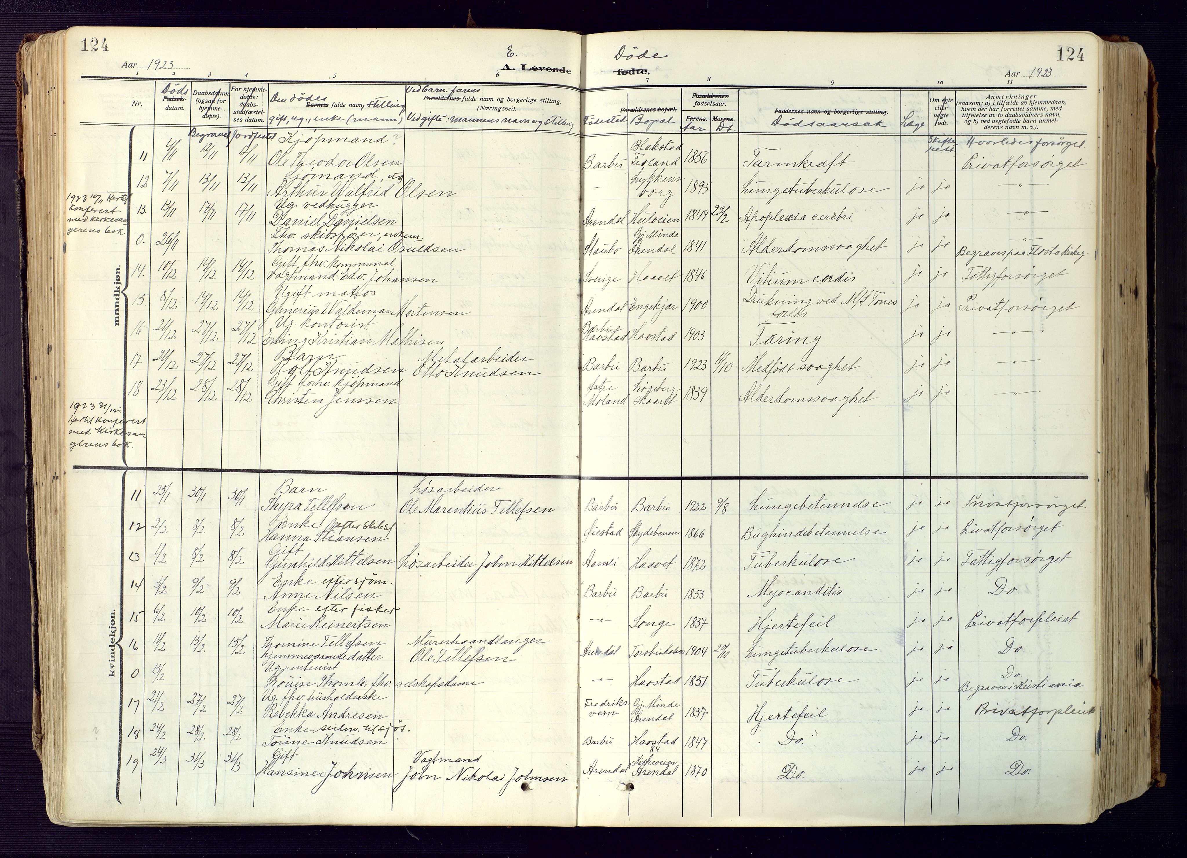 Barbu sokneprestkontor, AV/SAK-1111-0003/F/Fa/L0006: Parish register (official) no. A 6, 1910-1929, p. 124