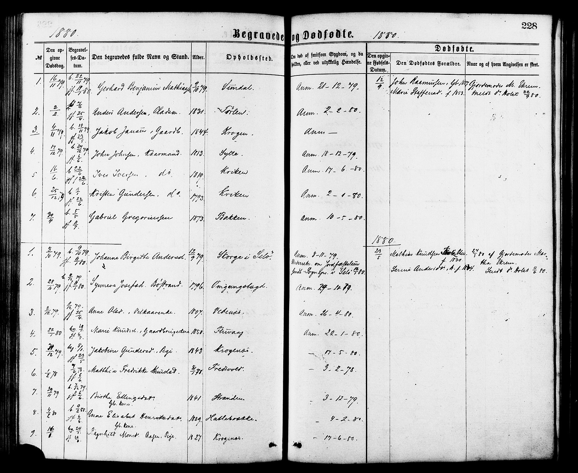 Ministerialprotokoller, klokkerbøker og fødselsregistre - Møre og Romsdal, AV/SAT-A-1454/501/L0007: Parish register (official) no. 501A07, 1868-1884, p. 228