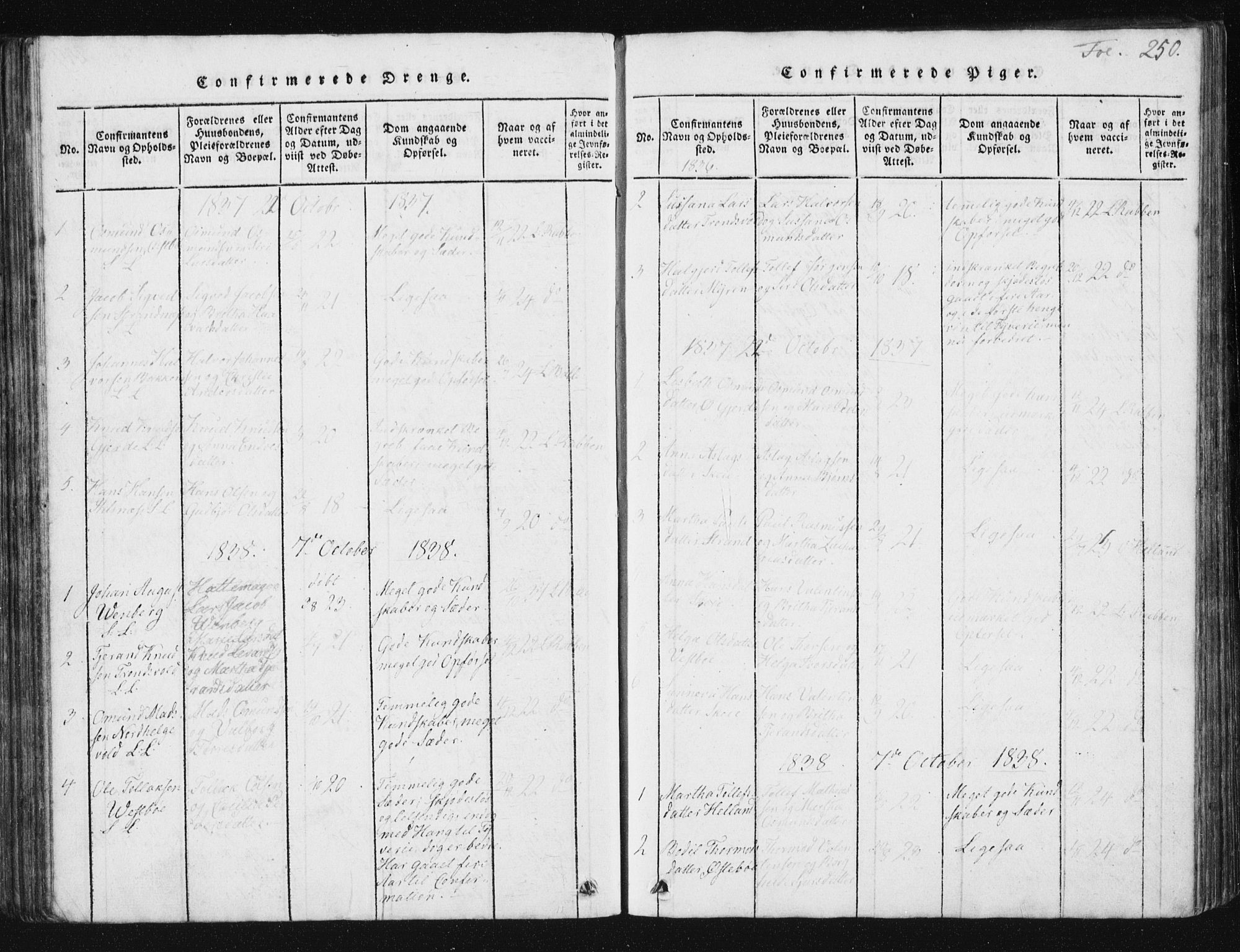 Vikedal sokneprestkontor, SAST/A-101840/01/V: Parish register (copy) no. B 2, 1816-1863, p. 250