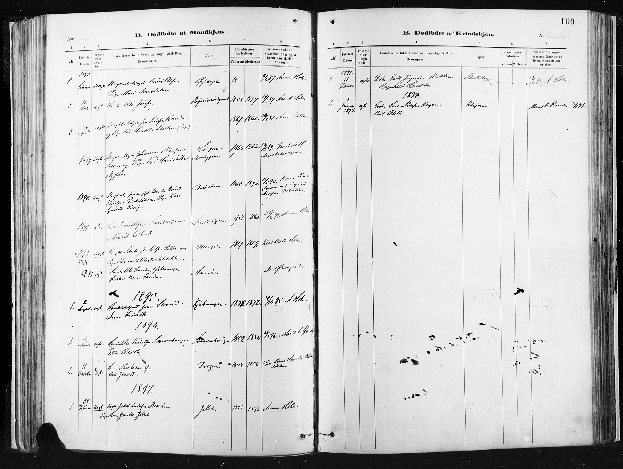 Vågå prestekontor, AV/SAH-PREST-076/H/Ha/Haa/L0009: Parish register (official) no. 9, 1886-1904, p. 100