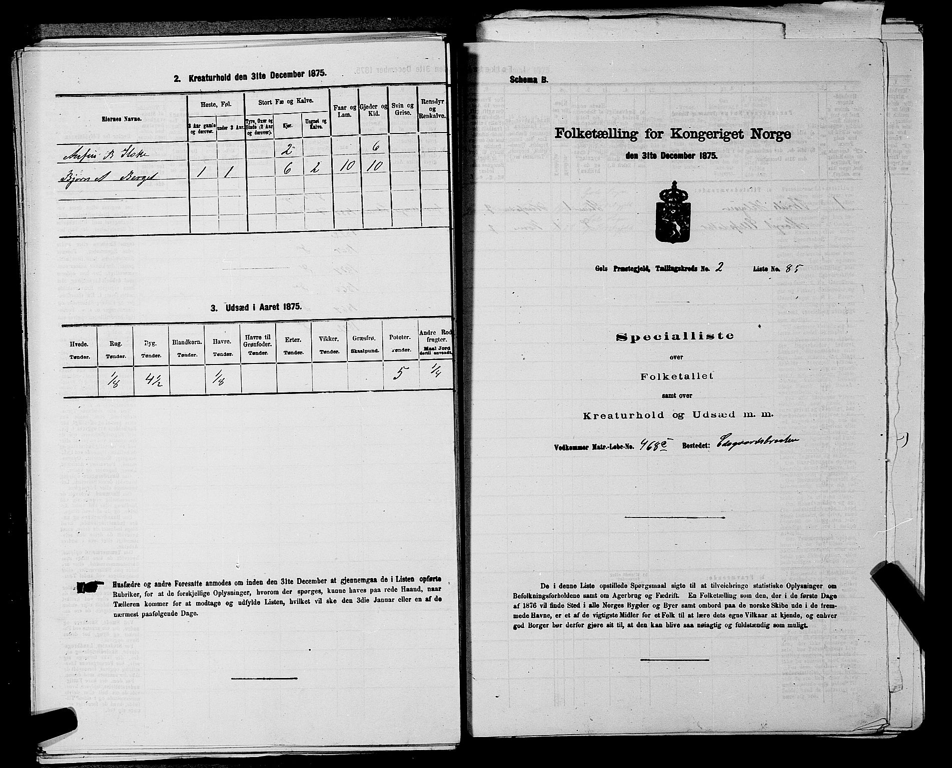 SAKO, 1875 census for 0617P Gol, 1875, p. 423