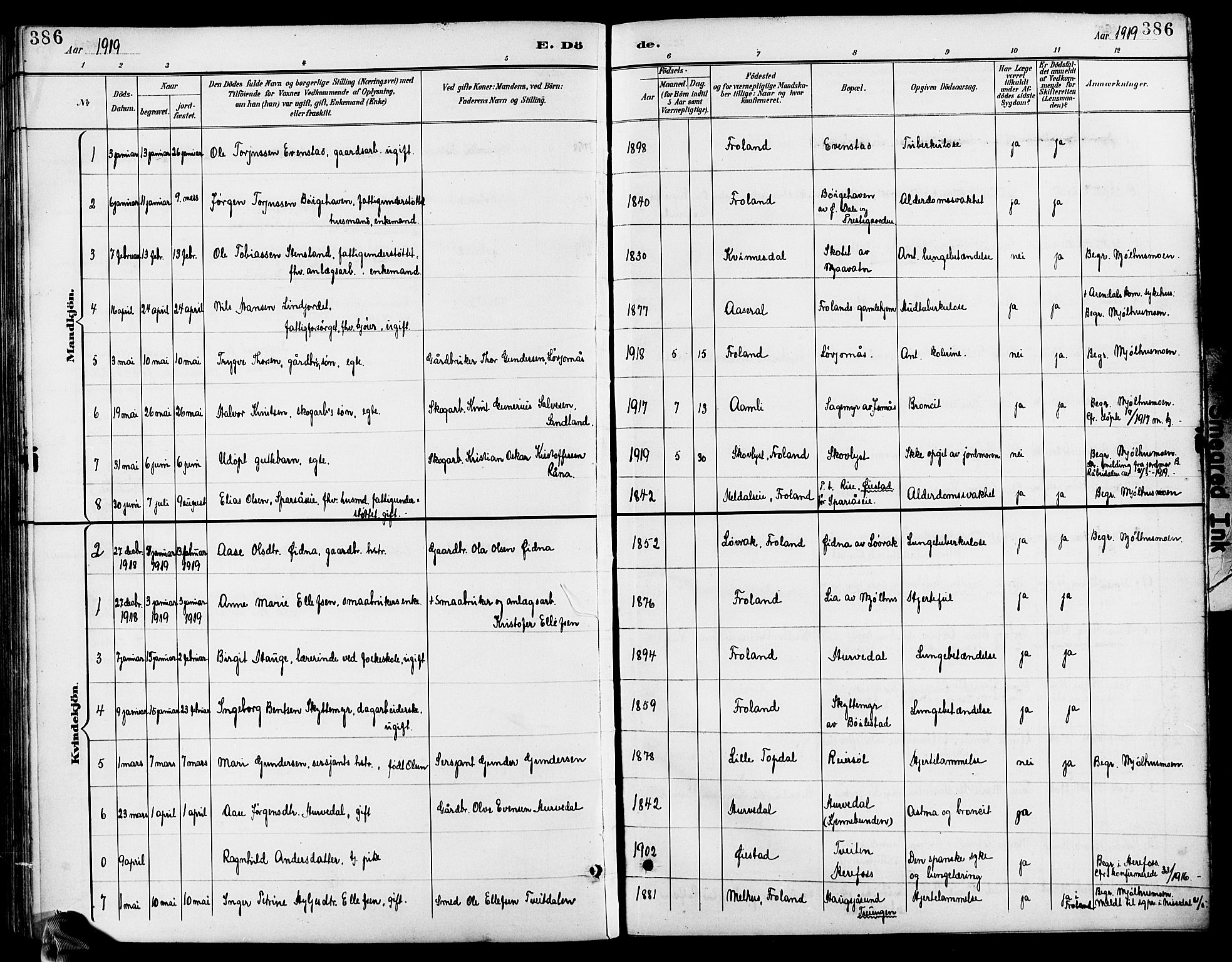 Froland sokneprestkontor, AV/SAK-1111-0013/F/Fb/L0010: Parish register (copy) no. B 10, 1893-1920, p. 386