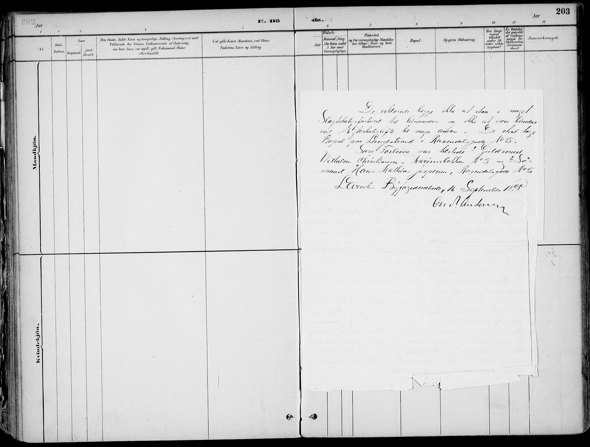 Larvik kirkebøker, AV/SAKO-A-352/F/Fb/L0004: Parish register (official) no. II 4, 1884-1902, p. 203