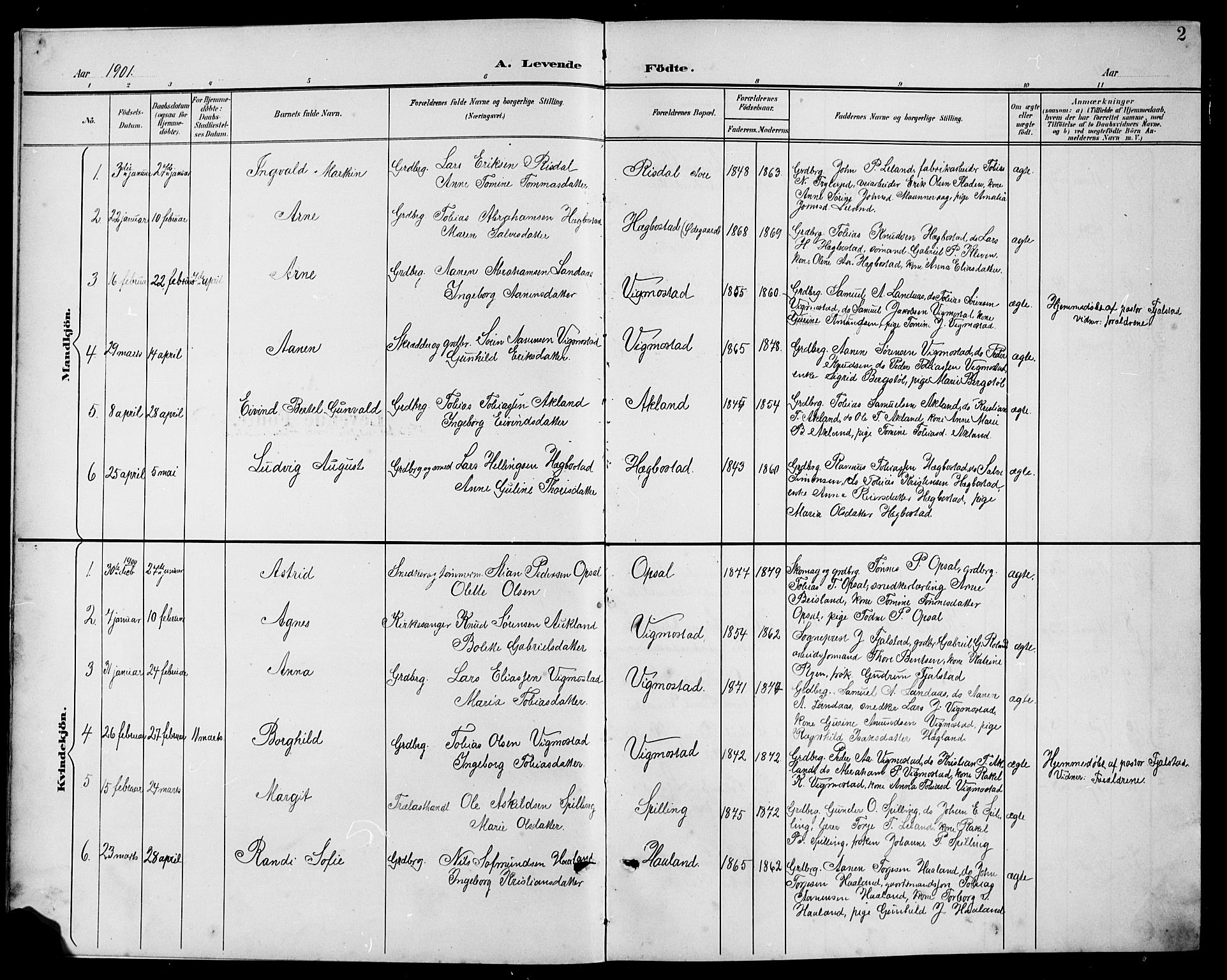 Nord-Audnedal sokneprestkontor, SAK/1111-0032/F/Fb/Fbb/L0004: Parish register (copy) no. B 4, 1901-1917, p. 2