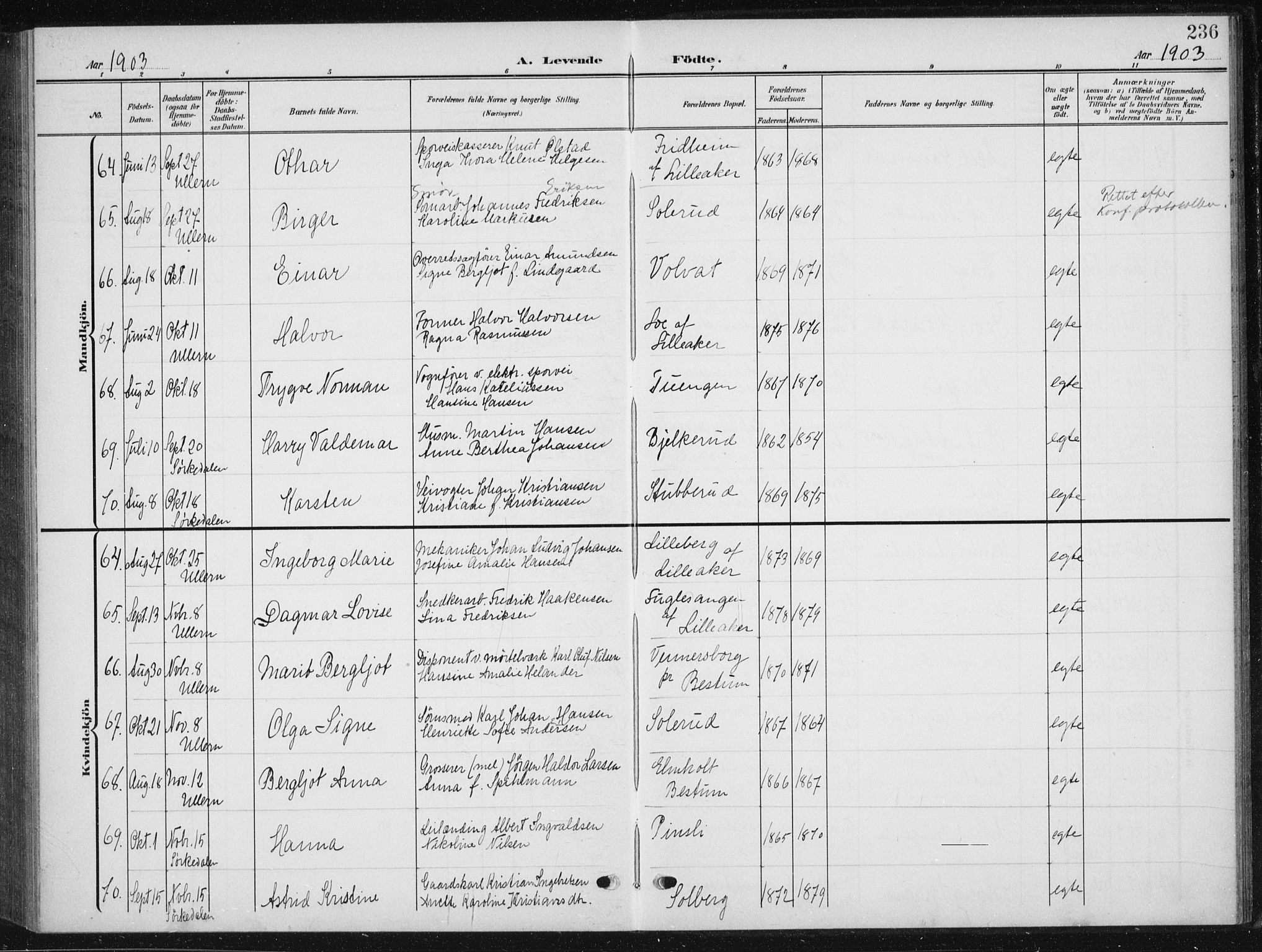 Vestre Aker prestekontor Kirkebøker, AV/SAO-A-10025/F/Fb/L0001: Parish register (official) no. II 1, 1880-1906, p. 236