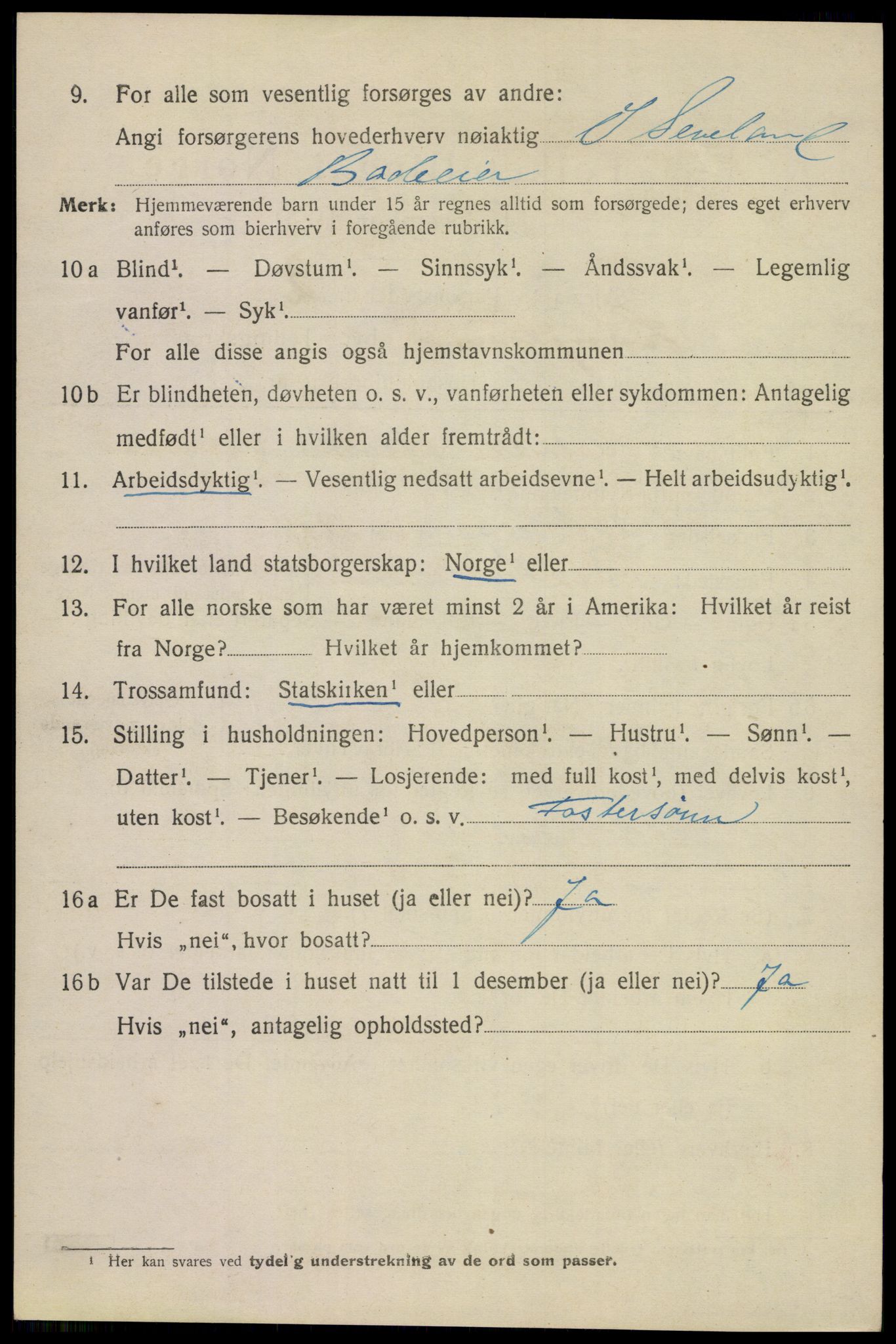 SAKO, 1920 census for Langesund, 1920, p. 3682