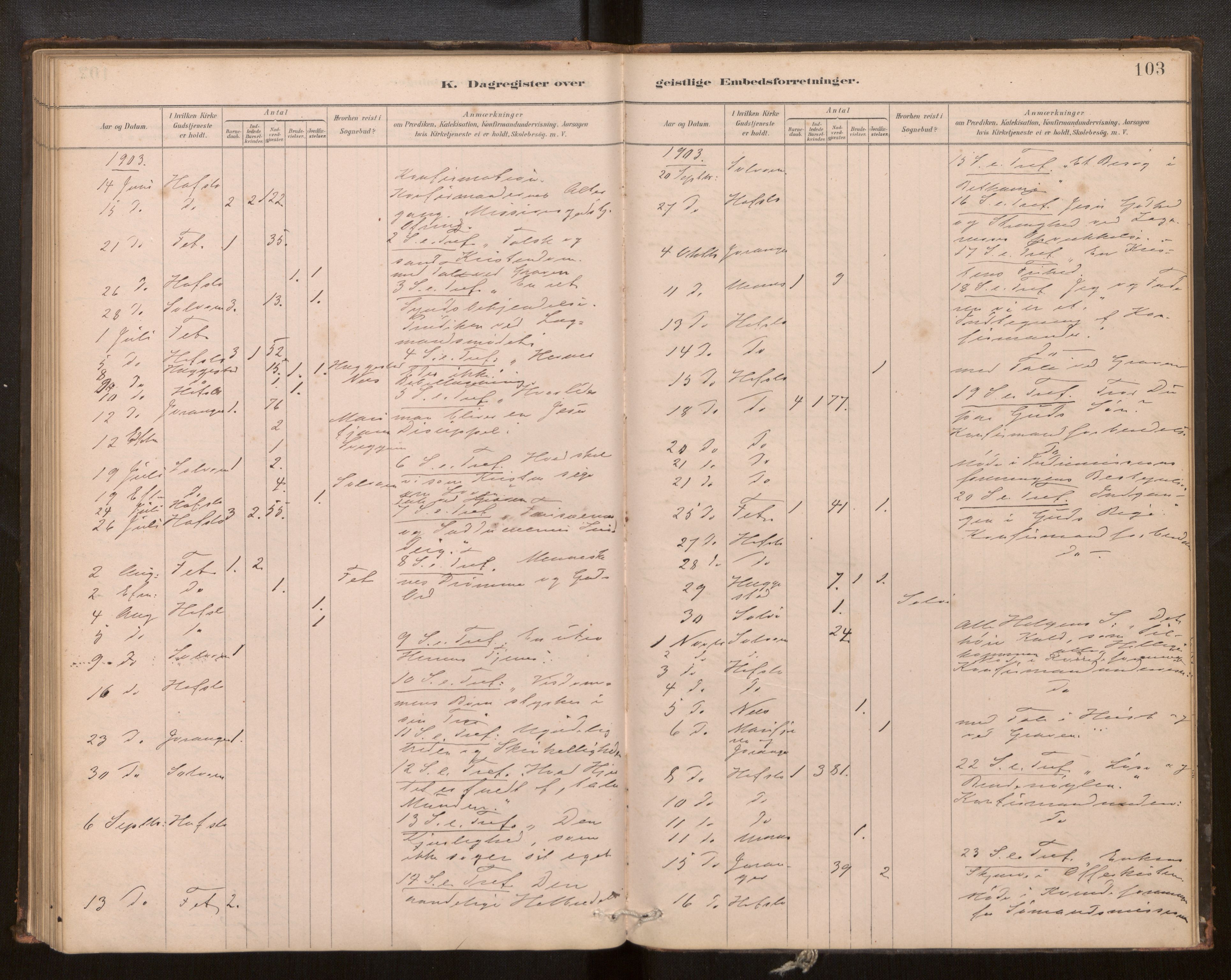 Hafslo sokneprestembete, SAB/A-80301/H/Haa/Haaf/L0003: Diary records no. F 3, 1879-1909, p. 103