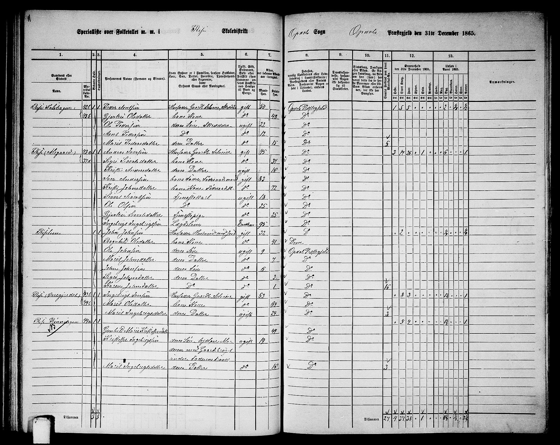 RA, 1865 census for Oppdal, 1865, p. 49