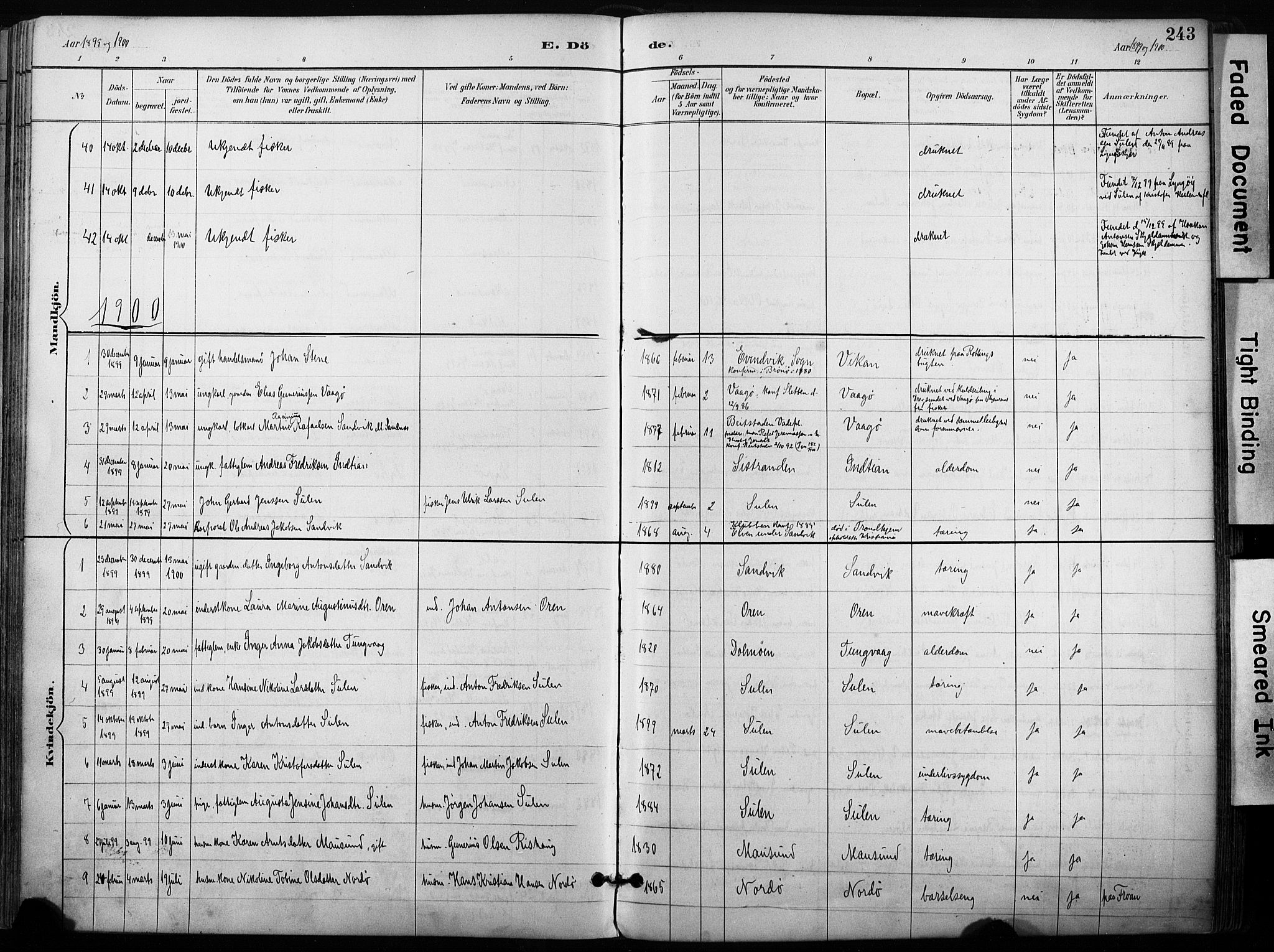 Ministerialprotokoller, klokkerbøker og fødselsregistre - Sør-Trøndelag, SAT/A-1456/640/L0579: Parish register (official) no. 640A04, 1889-1902, p. 243