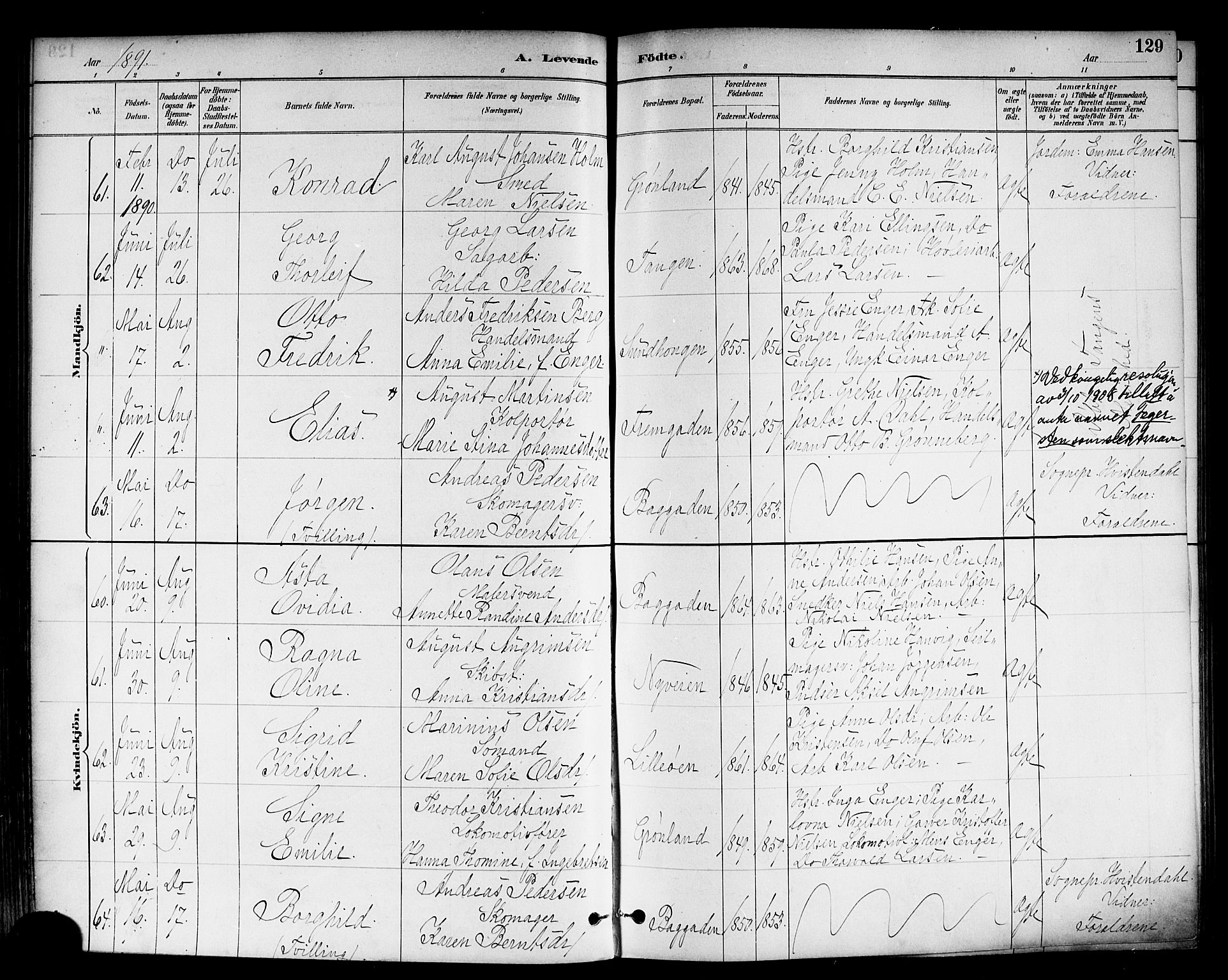 Strømsø kirkebøker, AV/SAKO-A-246/F/Fa/L0023: Parish register (official) no. I 23, 1885-1894, p. 129