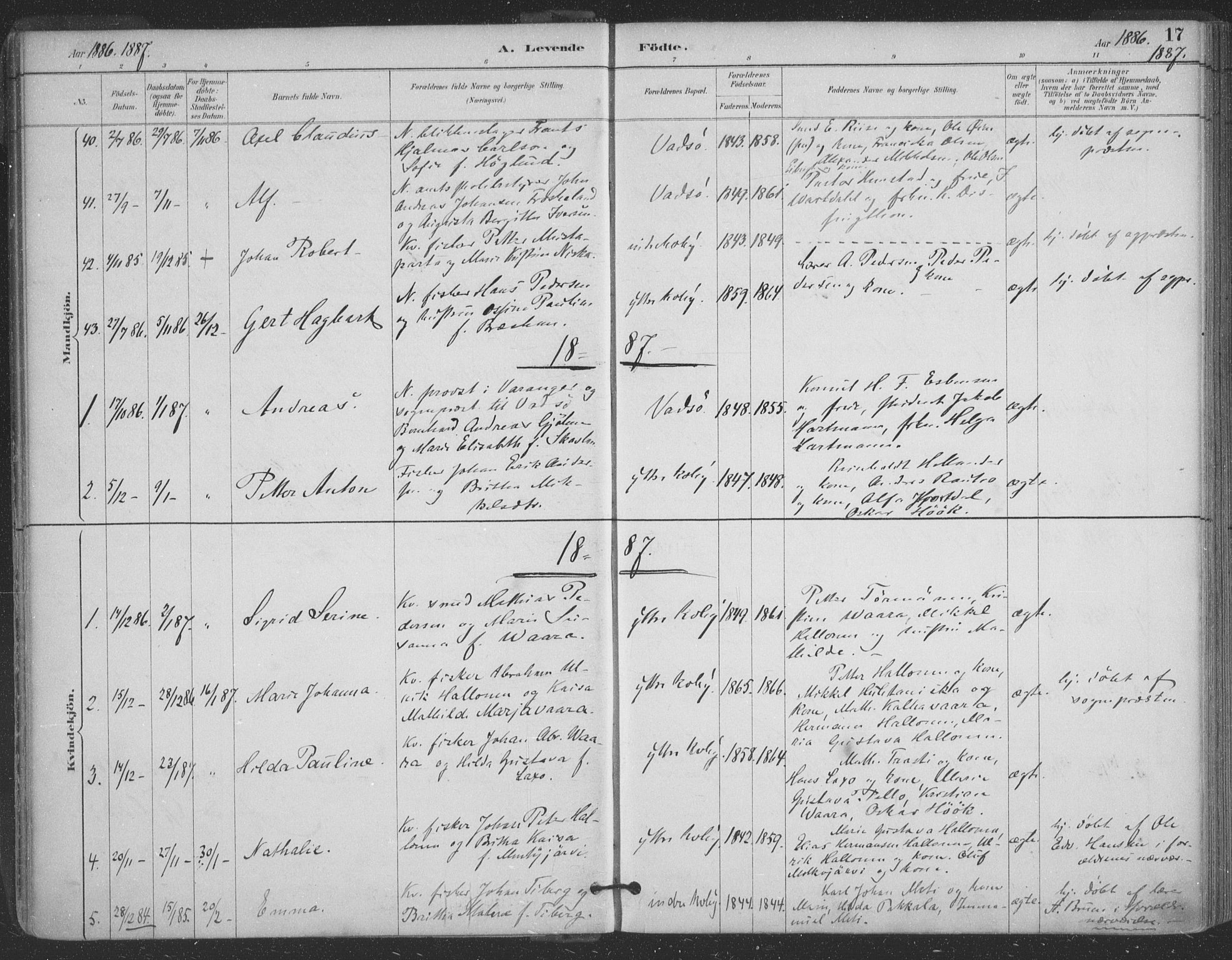 Vadsø sokneprestkontor, SATØ/S-1325/H/Ha/L0006kirke: Parish register (official) no. 6, 1885-1895, p. 17