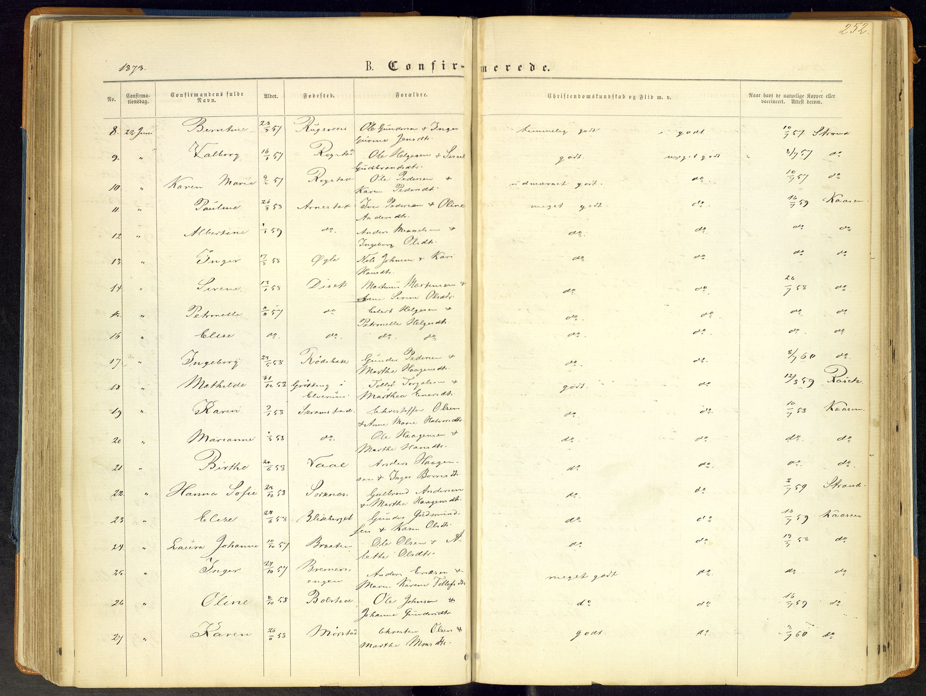 Åmot prestekontor, Hedmark, AV/SAH-PREST-056/H/Ha/Haa/L0008: Parish register (official) no. 8, 1862-1875, p. 252