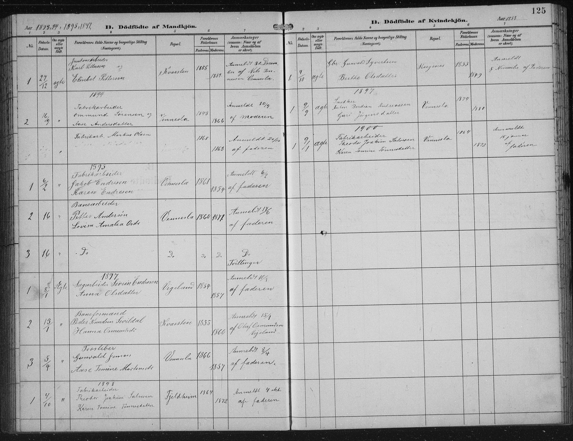 Vennesla sokneprestkontor, AV/SAK-1111-0045/Fb/Fbb/L0004: Parish register (copy) no. B 4, 1893-1902, p. 125