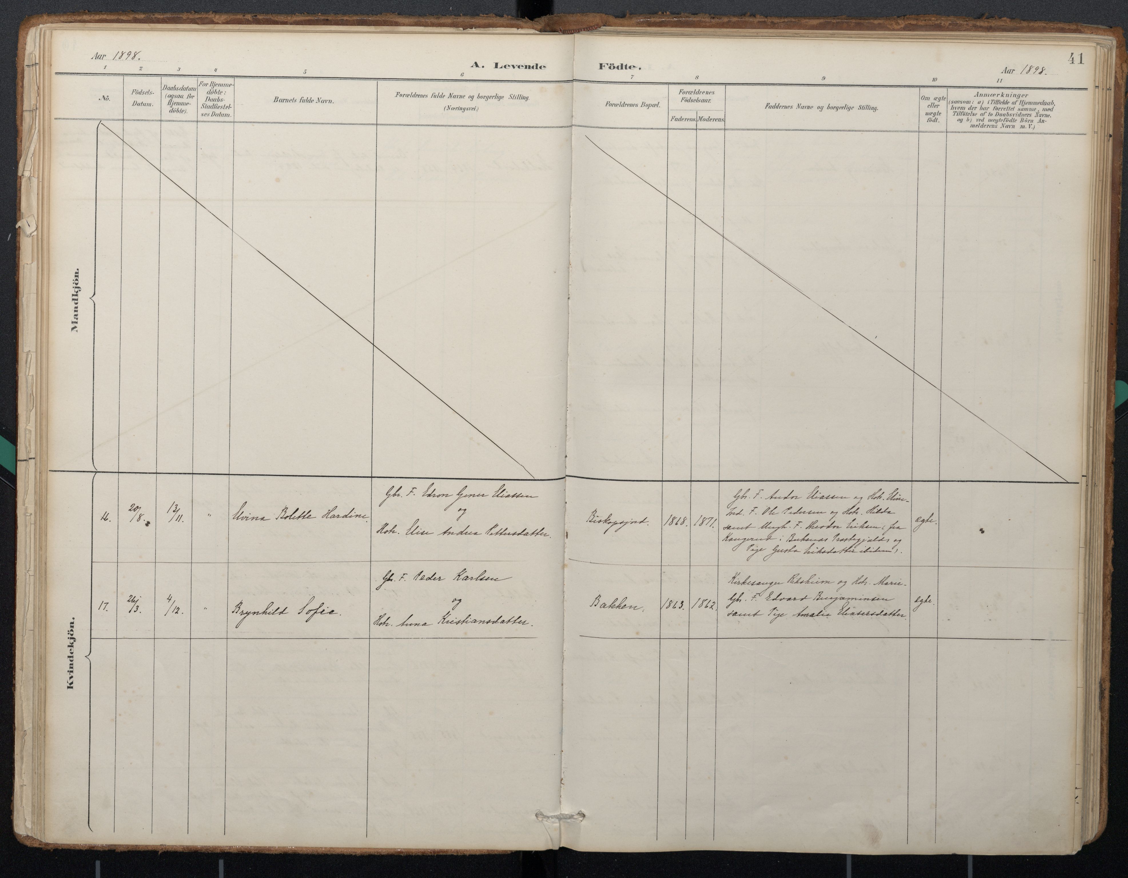 Ministerialprotokoller, klokkerbøker og fødselsregistre - Nordland, SAT/A-1459/884/L1193: Parish register (official) no. 884A01, 1888-1905, p. 41