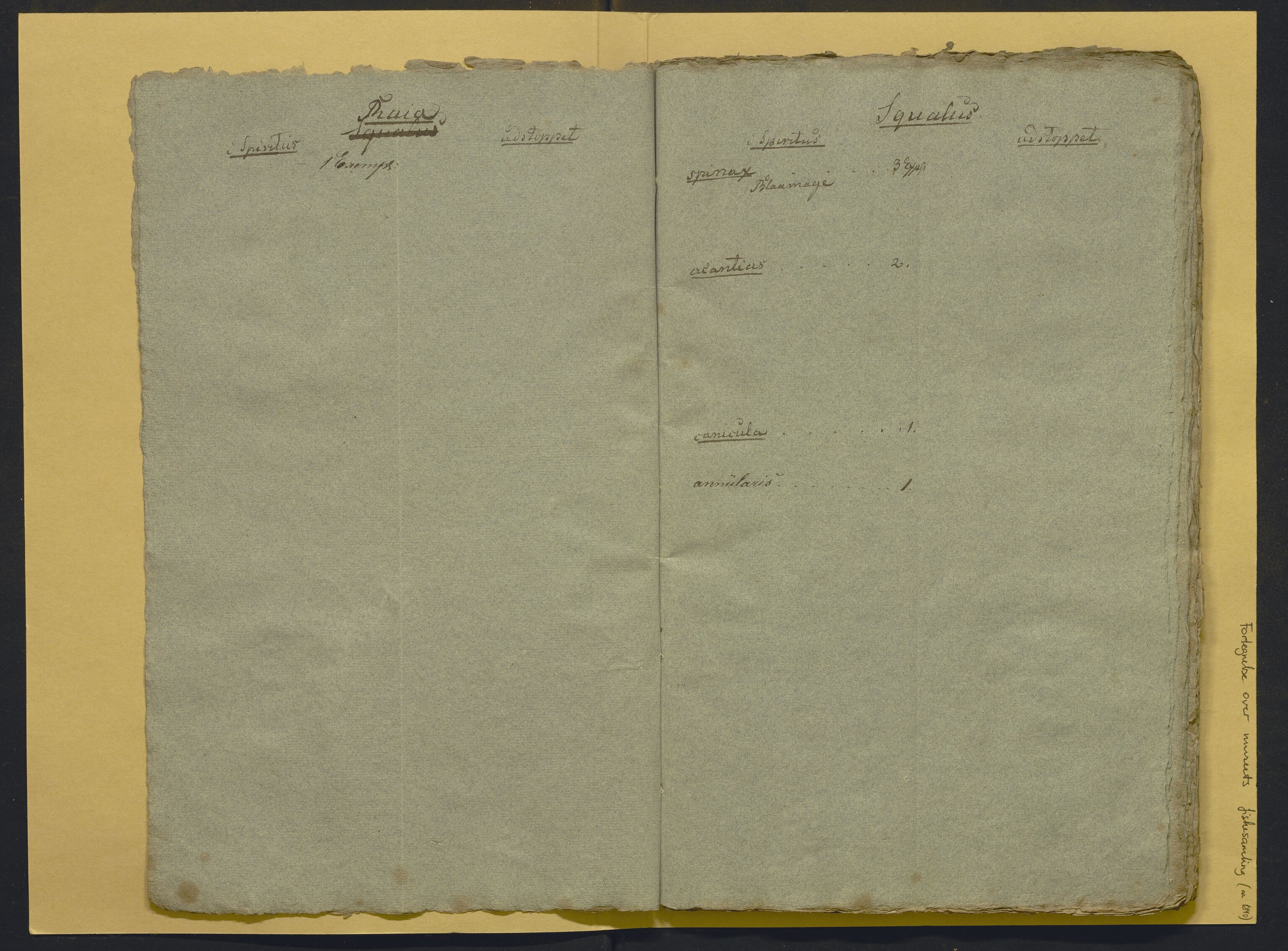 Bergens Museum, AV/SAB-A-17301/02/F/L0001: Kataloger over gjenstander og pergamentbrev , 1825-1880, p. 492
