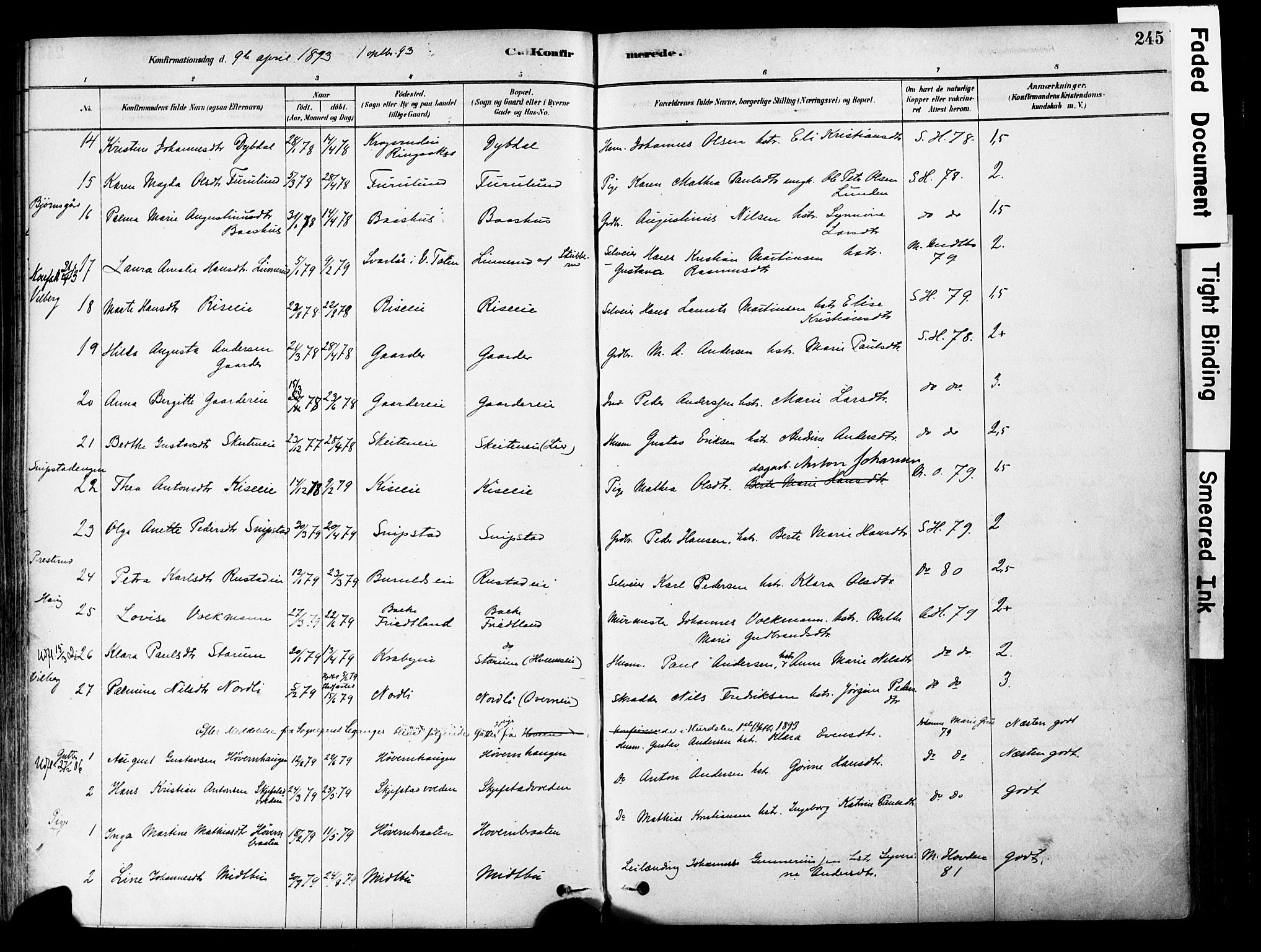 Østre Toten prestekontor, SAH/PREST-104/H/Ha/Haa/L0006: Parish register (official) no. 6 /1, 1878-1896, p. 245