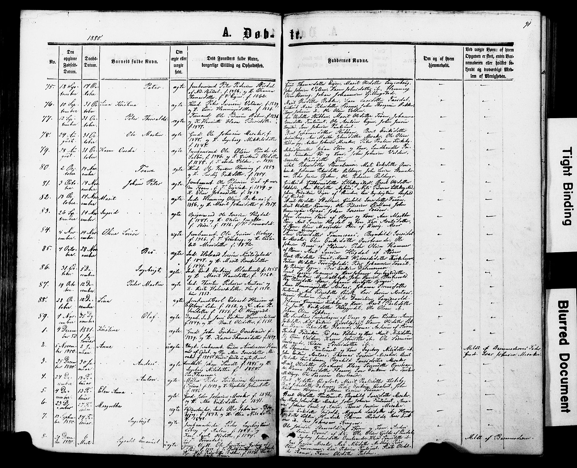 Ministerialprotokoller, klokkerbøker og fødselsregistre - Nord-Trøndelag, SAT/A-1458/706/L0049: Parish register (copy) no. 706C01, 1864-1895, p. 91