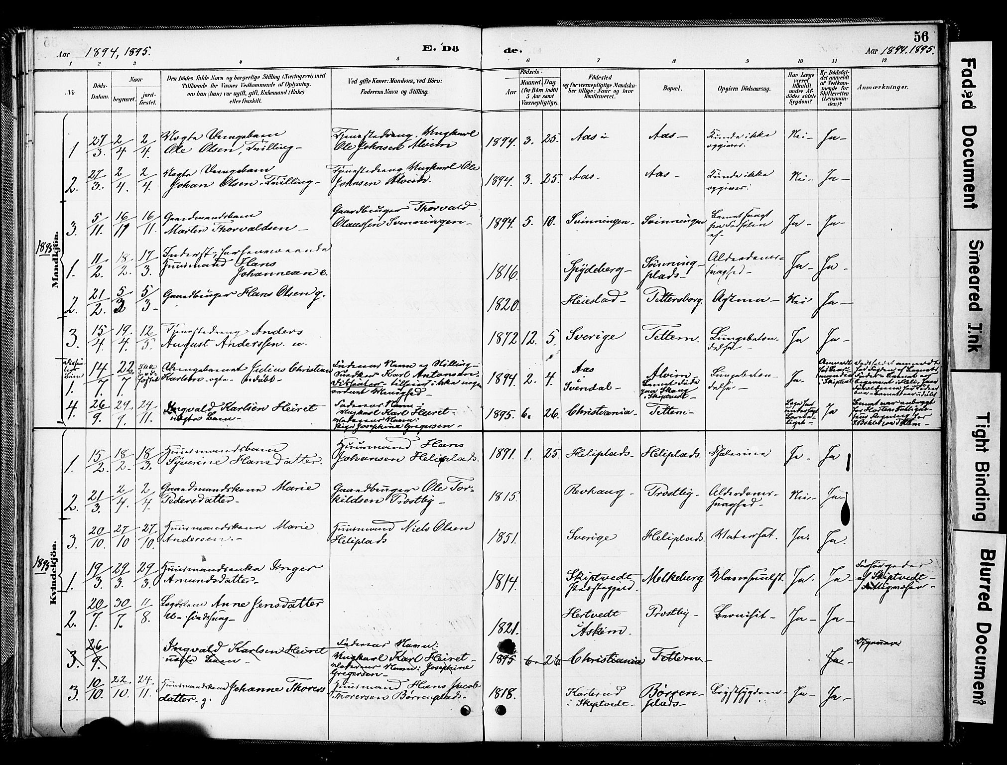 Spydeberg prestekontor Kirkebøker, AV/SAO-A-10924/F/Fc/L0001: Parish register (official) no. III 1, 1886-1907, p. 56