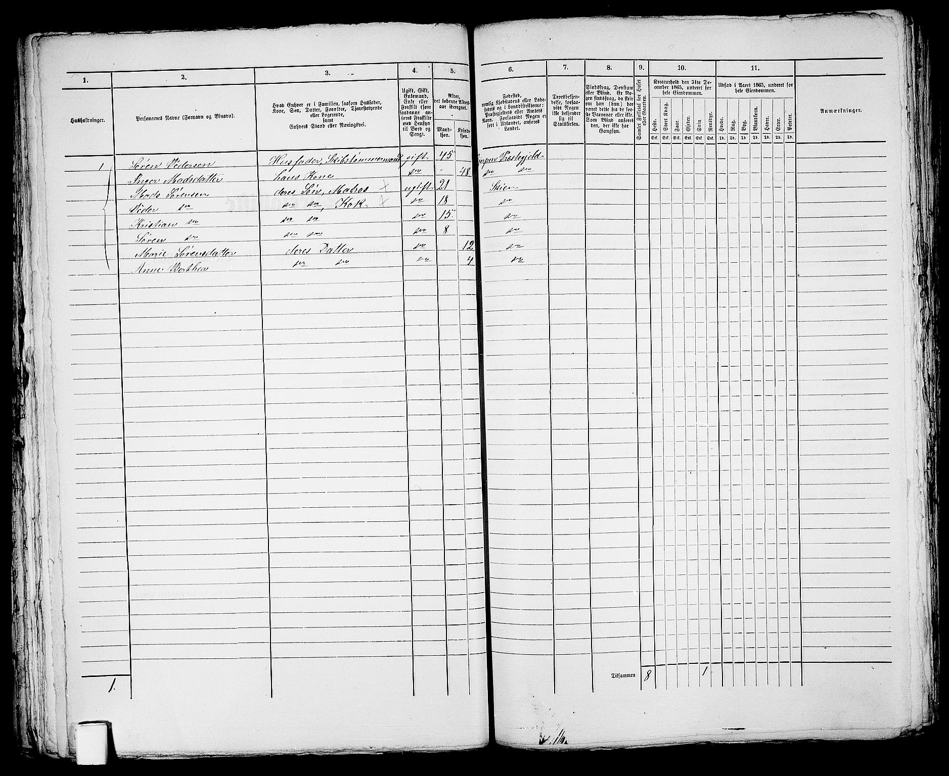 RA, 1865 census for Skien, 1865, p. 898