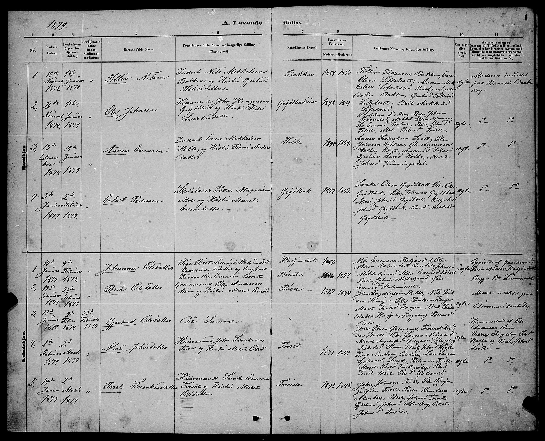 Ministerialprotokoller, klokkerbøker og fødselsregistre - Møre og Romsdal, SAT/A-1454/598/L1077: Parish register (copy) no. 598C02, 1879-1891, p. 1