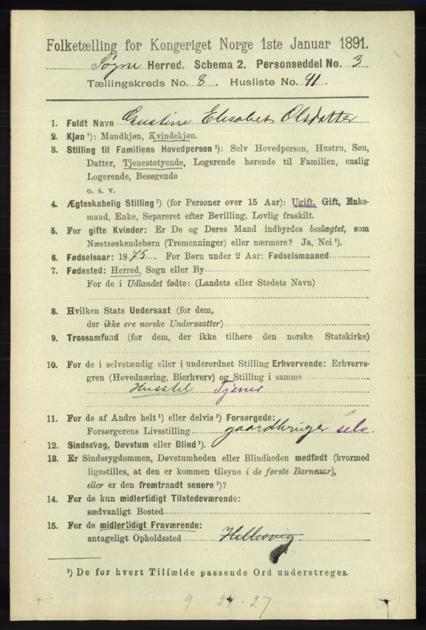 RA, 1891 census for 1018 Søgne, 1891, p. 2490