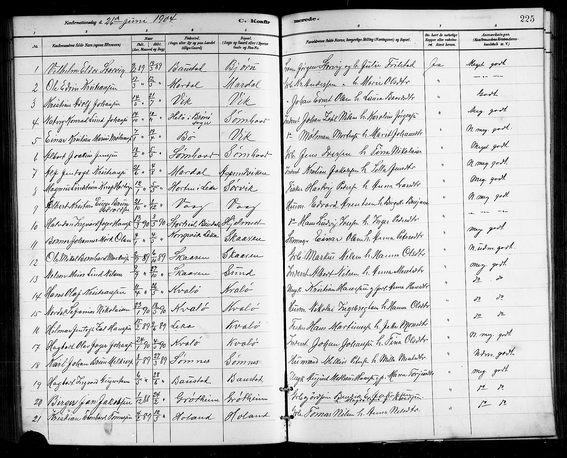 Ministerialprotokoller, klokkerbøker og fødselsregistre - Nordland, SAT/A-1459/812/L0188: Parish register (copy) no. 812C06, 1884-1912, p. 225