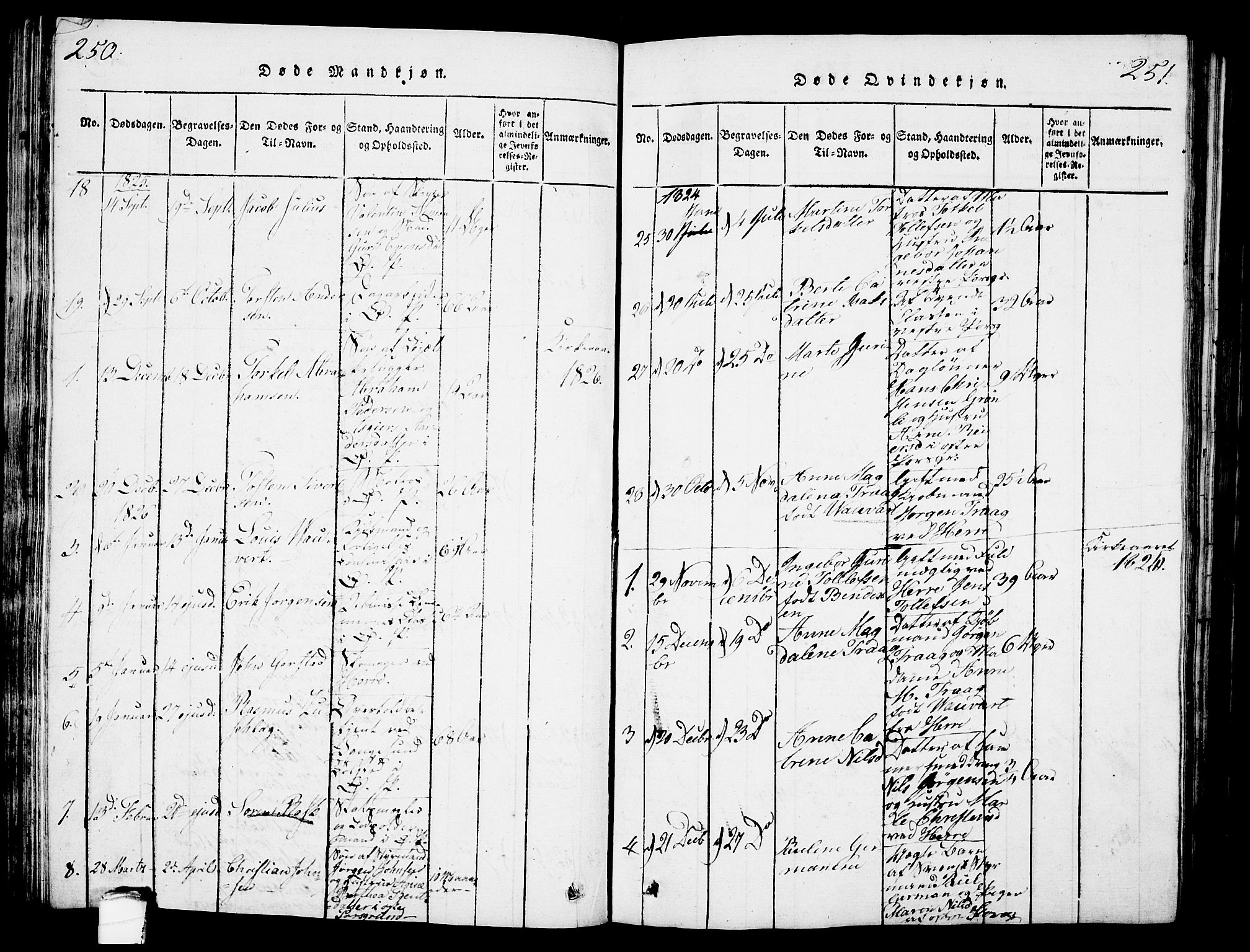 Porsgrunn kirkebøker , AV/SAKO-A-104/G/Gb/L0001: Parish register (copy) no. II 1, 1817-1828, p. 250-251