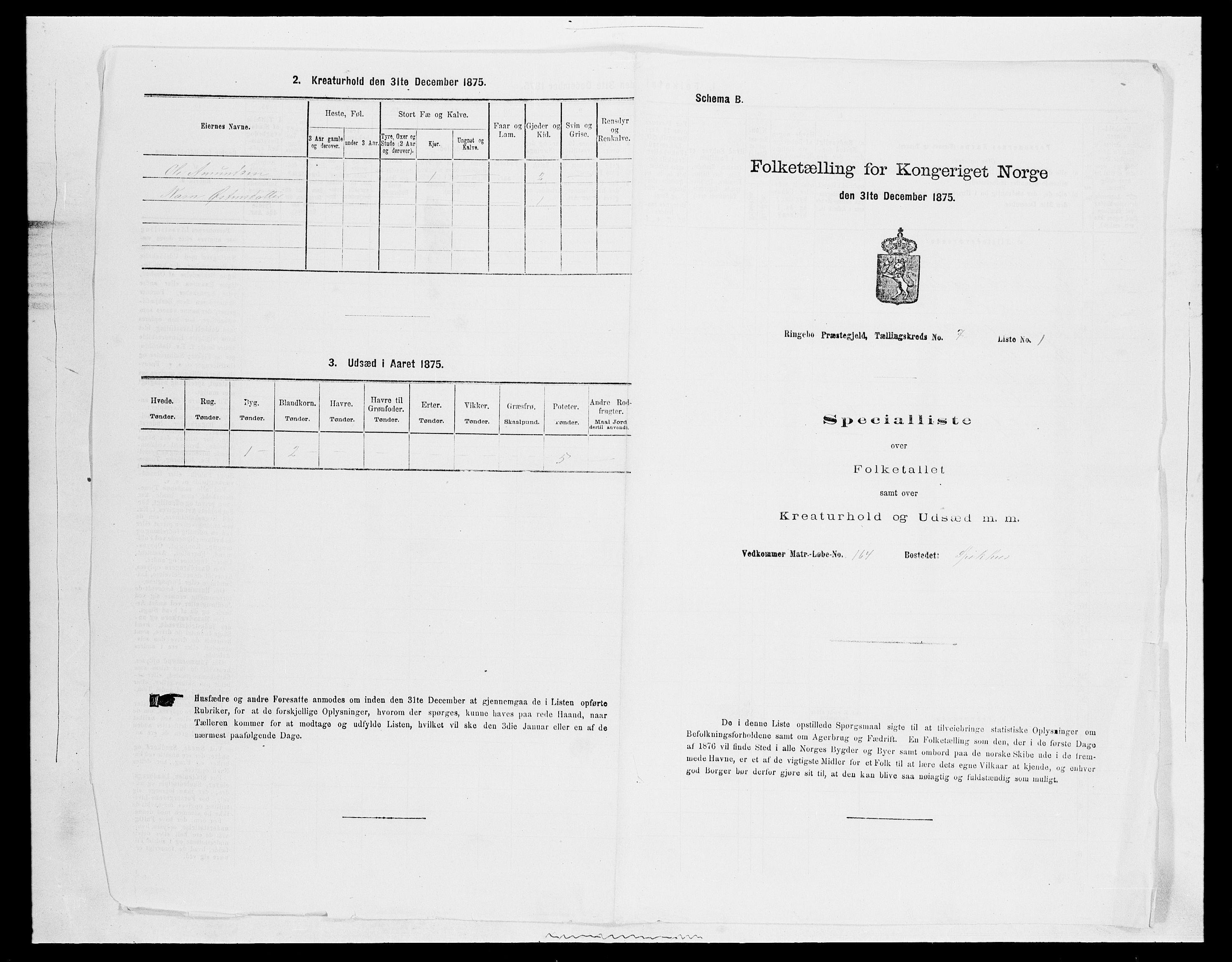 SAH, 1875 census for 0520P Ringebu, 1875, p. 1010