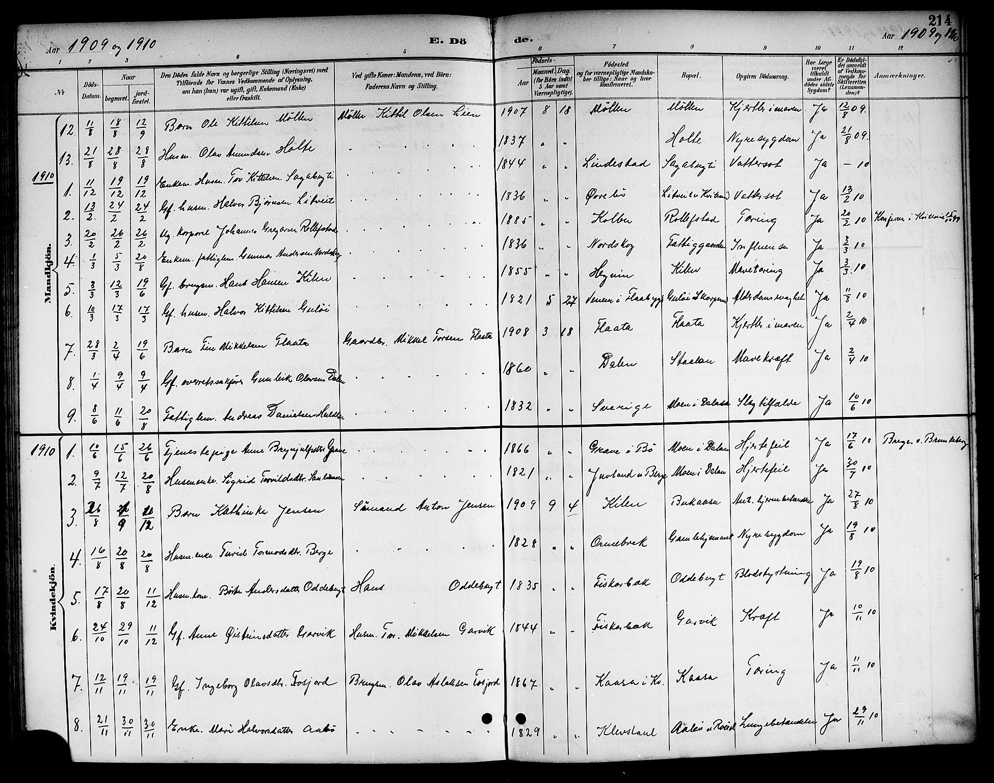 Kviteseid kirkebøker, SAKO/A-276/G/Ga/L0002: Parish register (copy) no. I 2, 1893-1918, p. 214