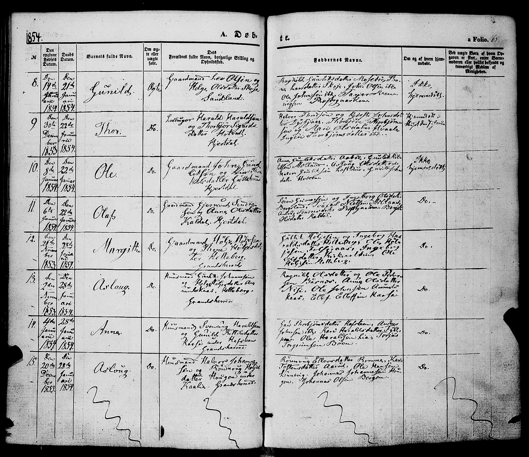 Hjartdal kirkebøker, AV/SAKO-A-270/F/Fa/L0008: Parish register (official) no. I 8, 1844-1859, p. 65