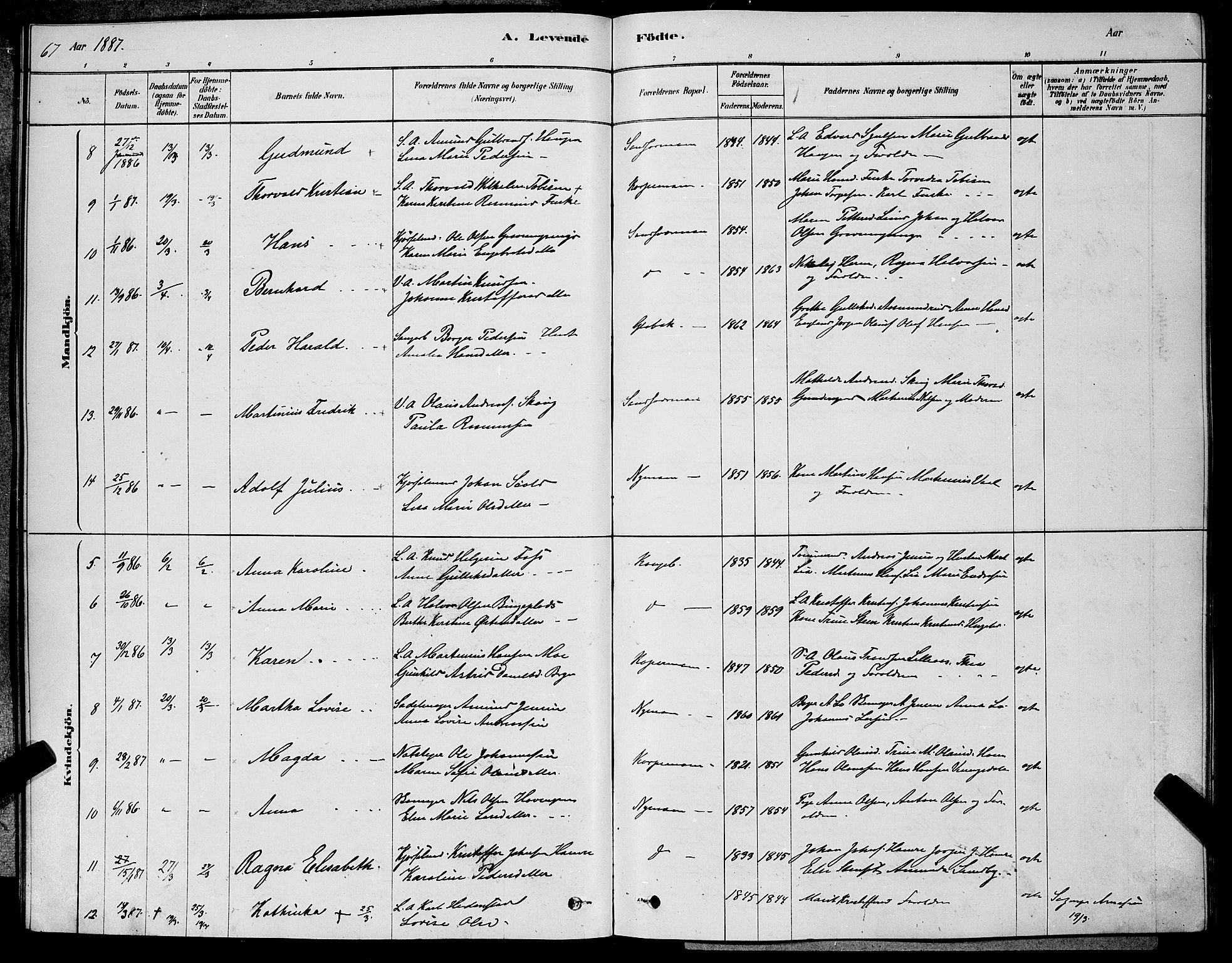 Kongsberg kirkebøker, AV/SAKO-A-22/G/Ga/L0005: Parish register (copy) no. 5, 1878-1889, p. 67