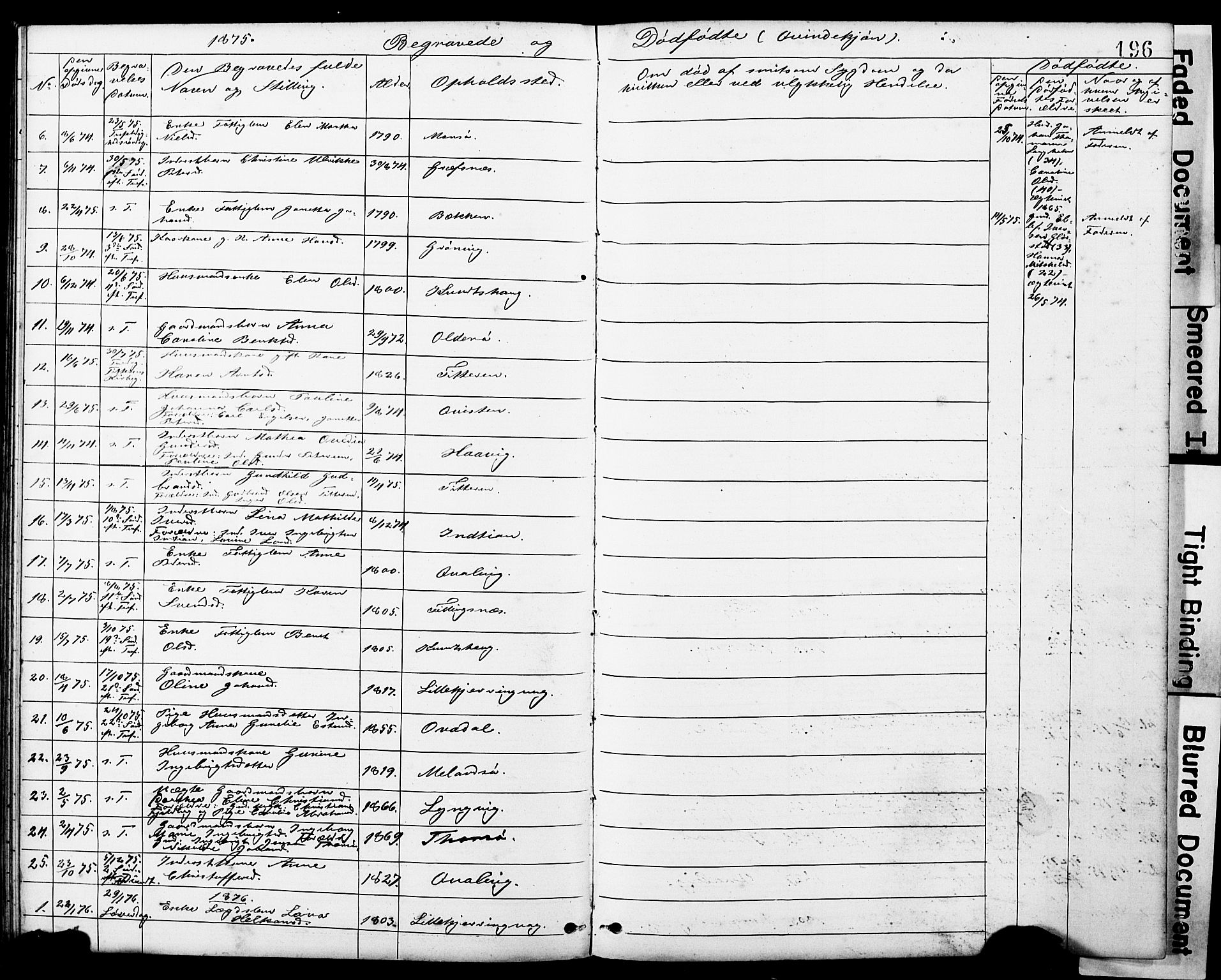 Ministerialprotokoller, klokkerbøker og fødselsregistre - Sør-Trøndelag, SAT/A-1456/634/L0541: Parish register (copy) no. 634C03, 1874-1891, p. 196