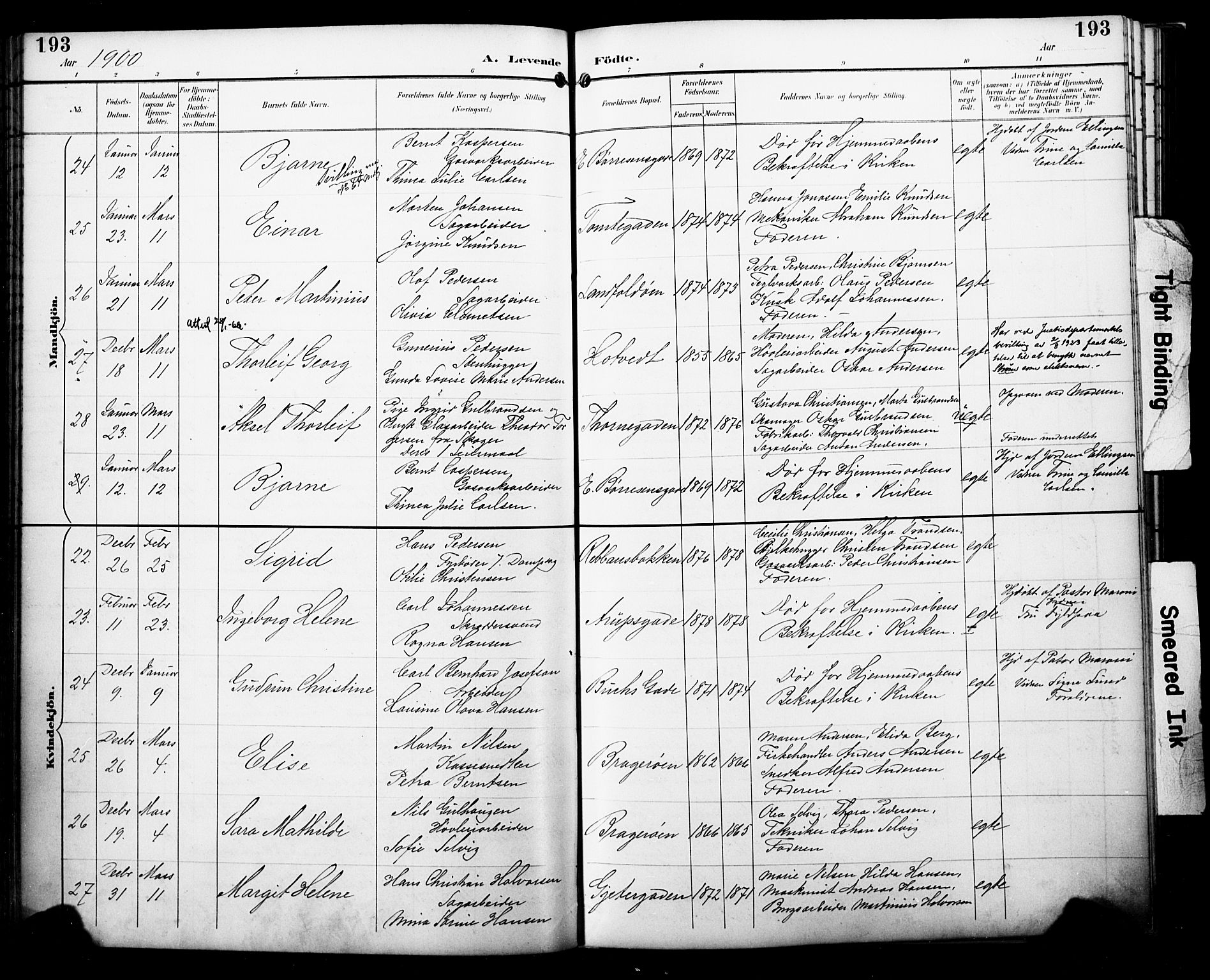 Bragernes kirkebøker, AV/SAKO-A-6/F/Fb/L0008: Parish register (official) no. II 8, 1894-1902, p. 193