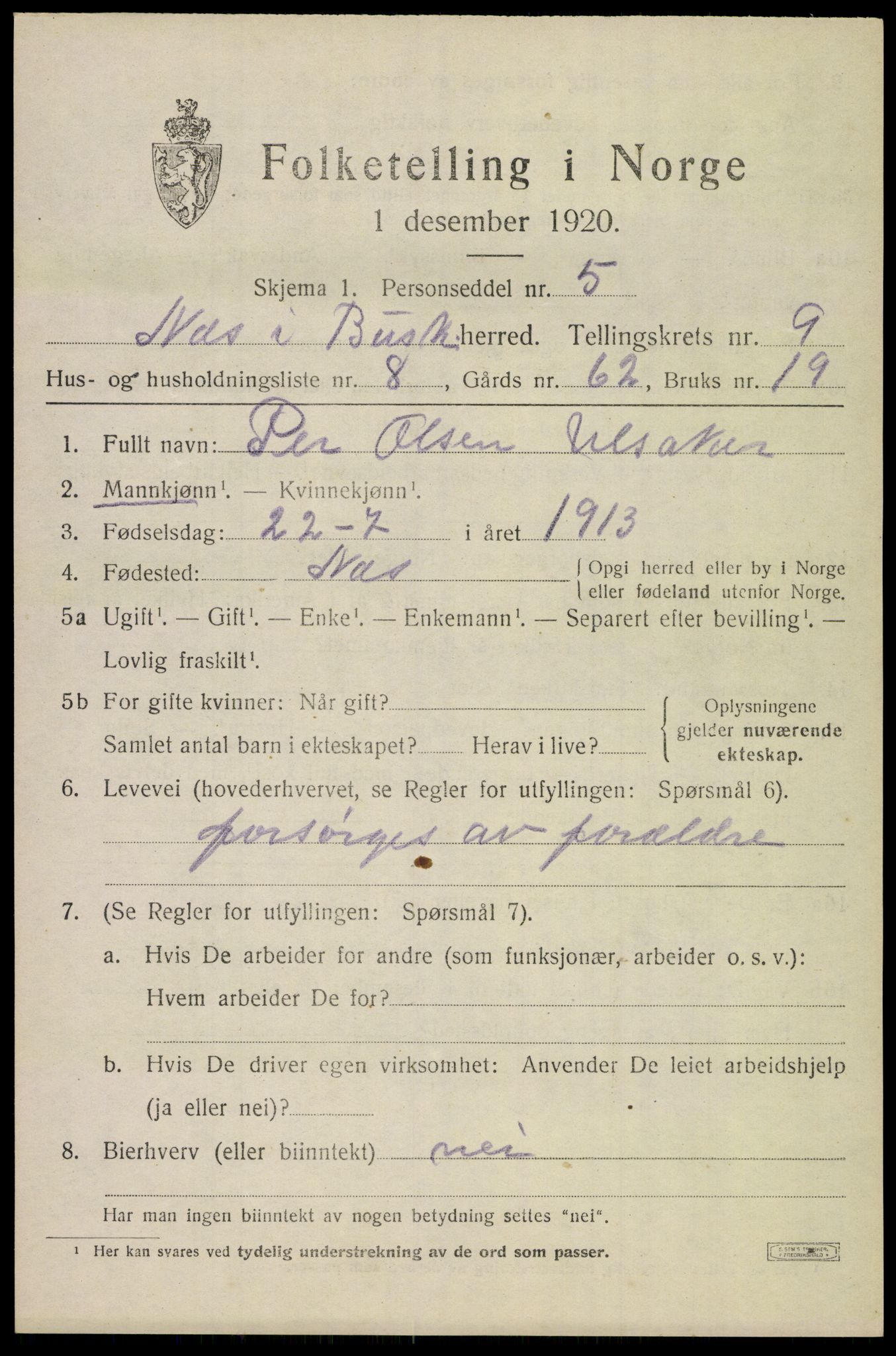 SAKO, 1920 census for Nes (Buskerud), 1920, p. 5918