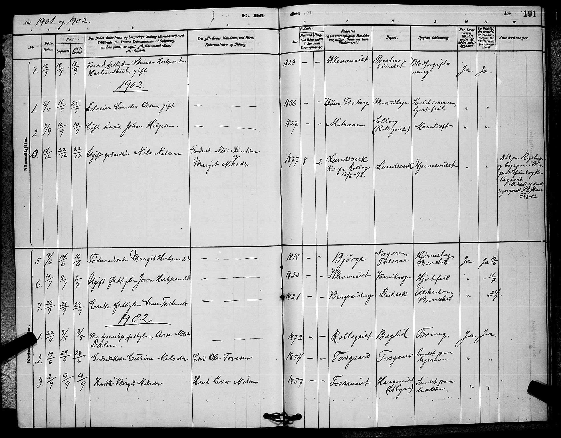 Rollag kirkebøker, SAKO/A-240/G/Ga/L0004: Parish register (copy) no. I 4, 1878-1903, p. 191