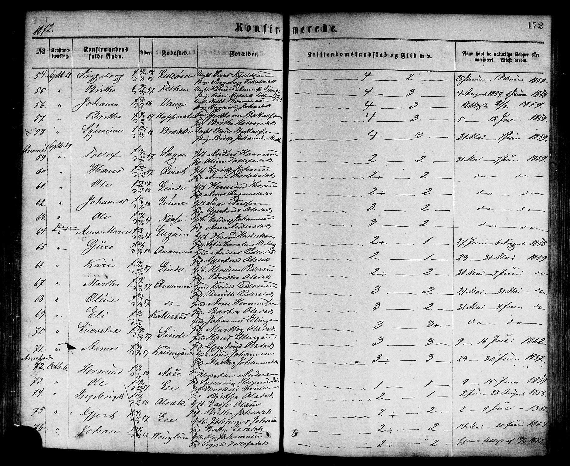 Vik sokneprestembete, SAB/A-81501: Parish register (official) no. A 9, 1866-1877, p. 172