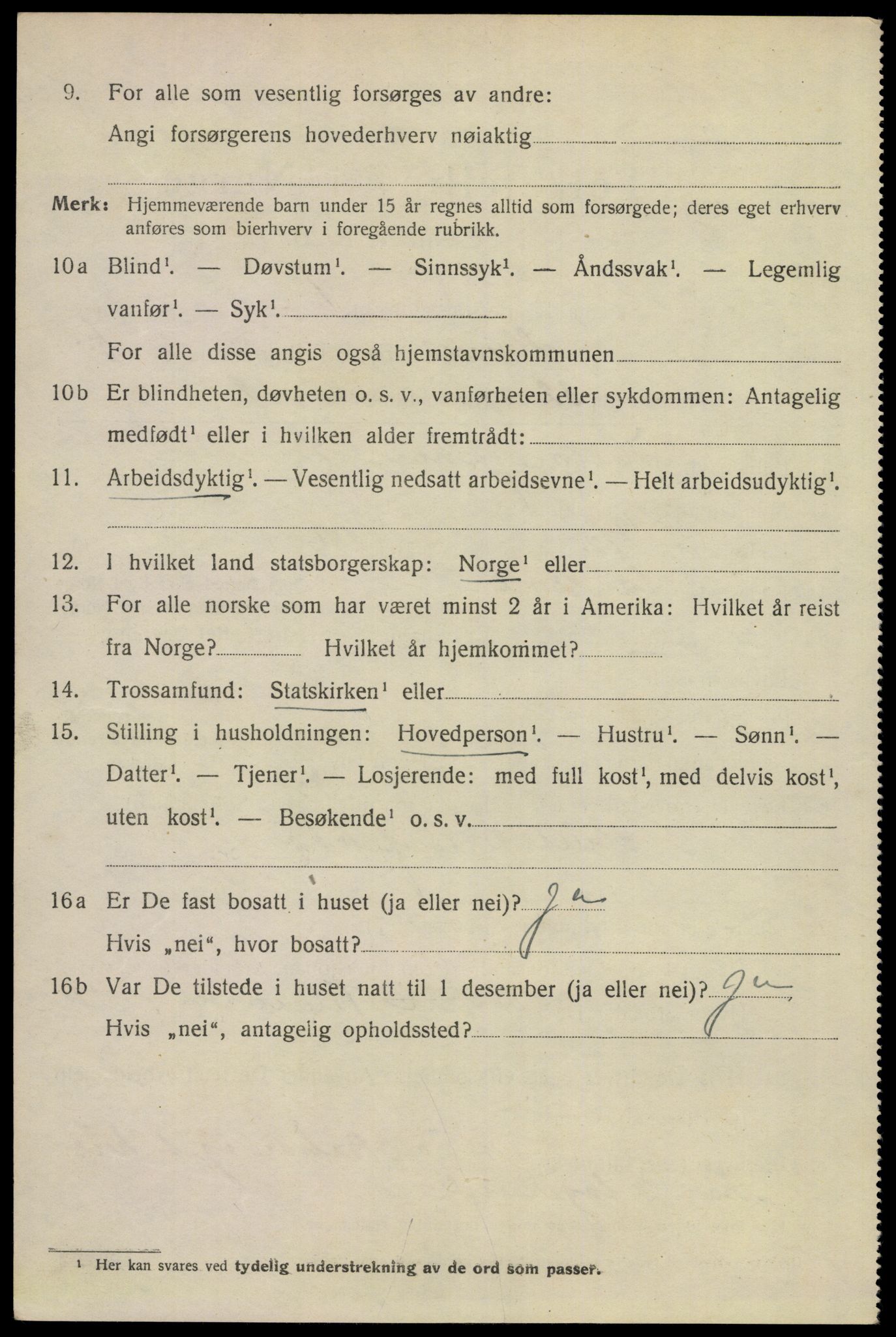 SAKO, 1920 census for Skien, 1920, p. 25269