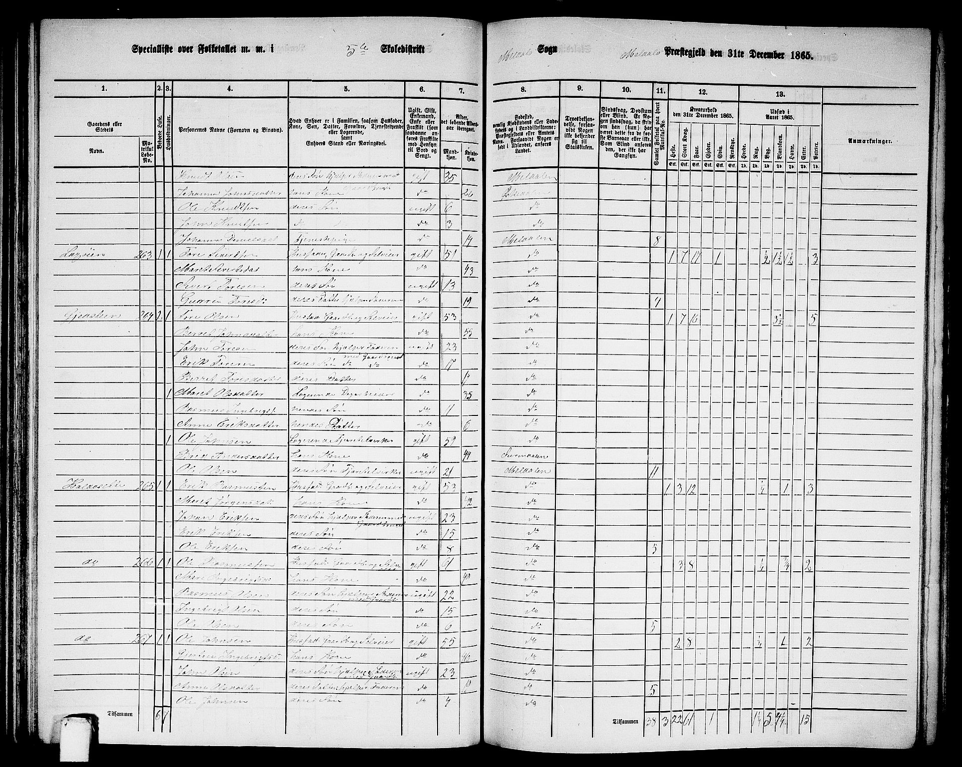 RA, 1865 census for Meldal, 1865, p. 120