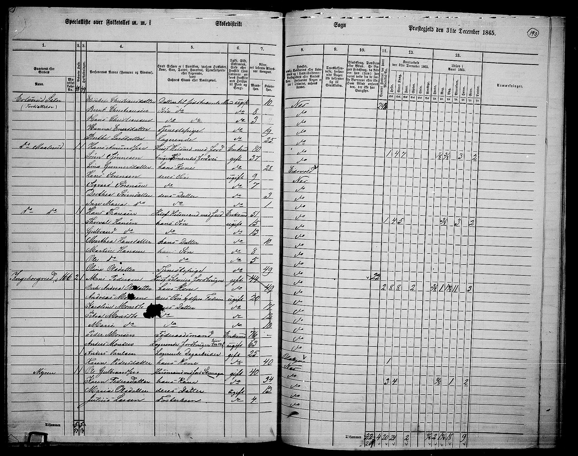 RA, 1865 census for Nes, 1865, p. 173