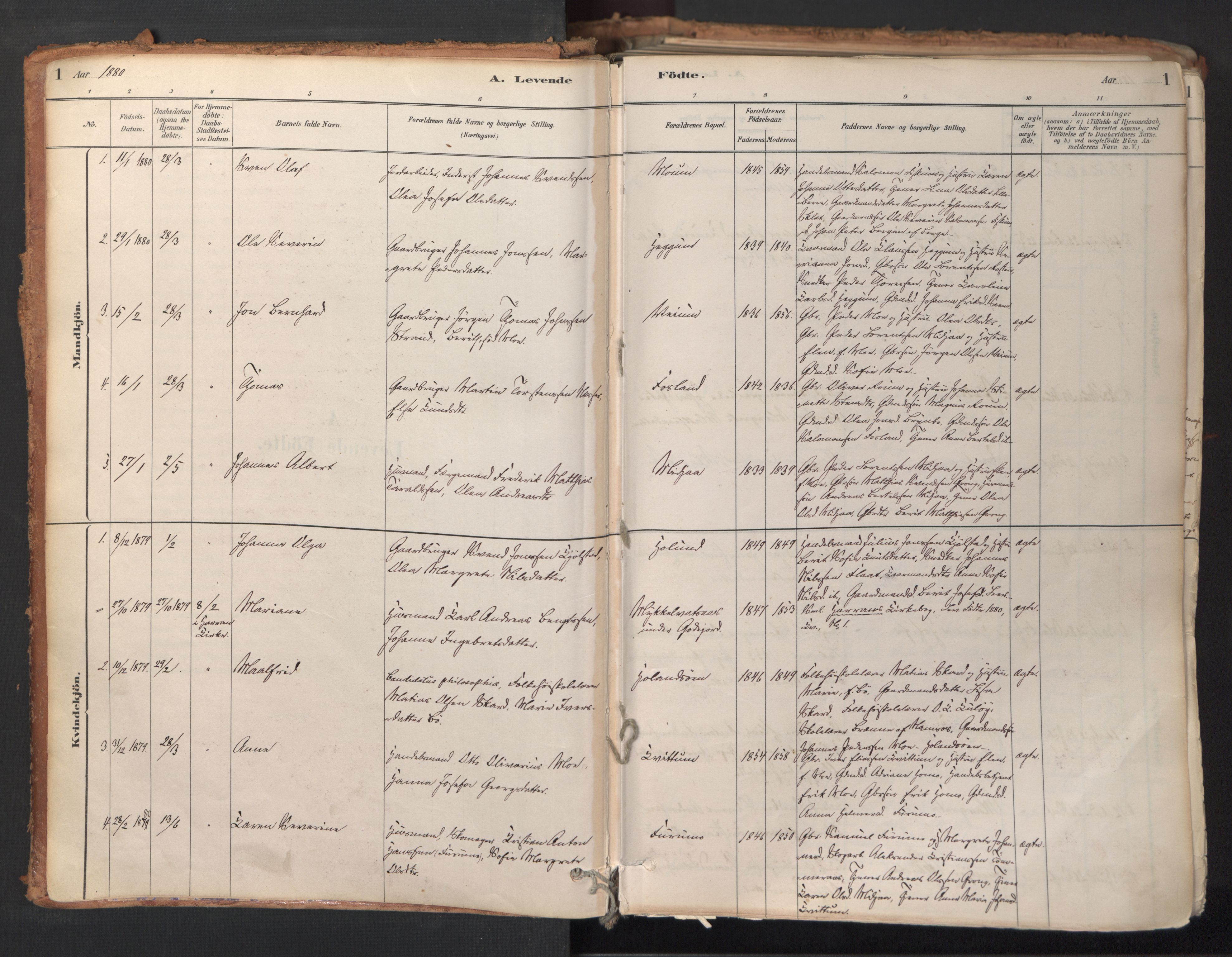 Ministerialprotokoller, klokkerbøker og fødselsregistre - Nord-Trøndelag, SAT/A-1458/758/L0519: Parish register (official) no. 758A04, 1880-1926, p. 1