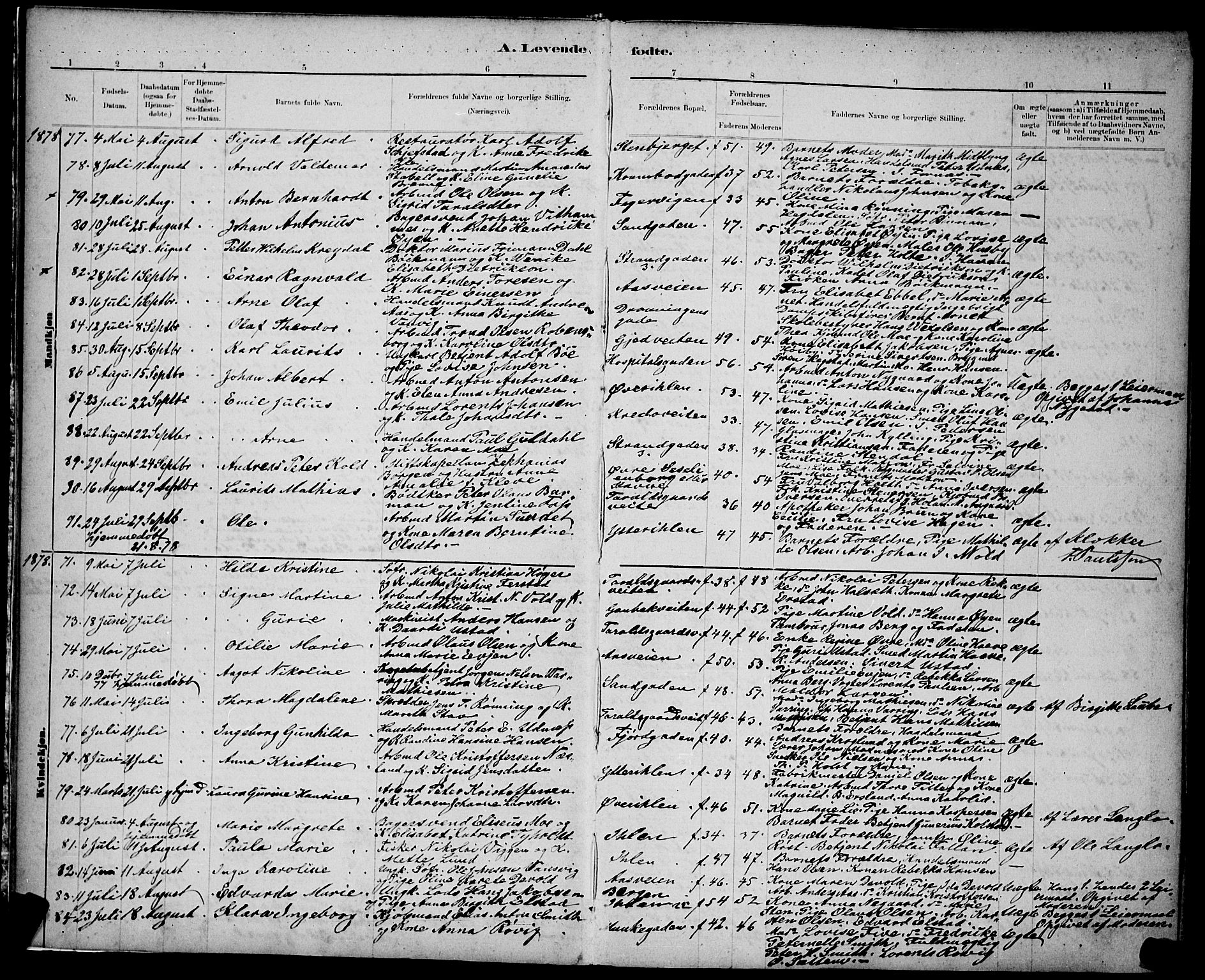 Ministerialprotokoller, klokkerbøker og fødselsregistre - Sør-Trøndelag, AV/SAT-A-1456/602/L0143: Parish register (copy) no. 602C11, 1878-1902